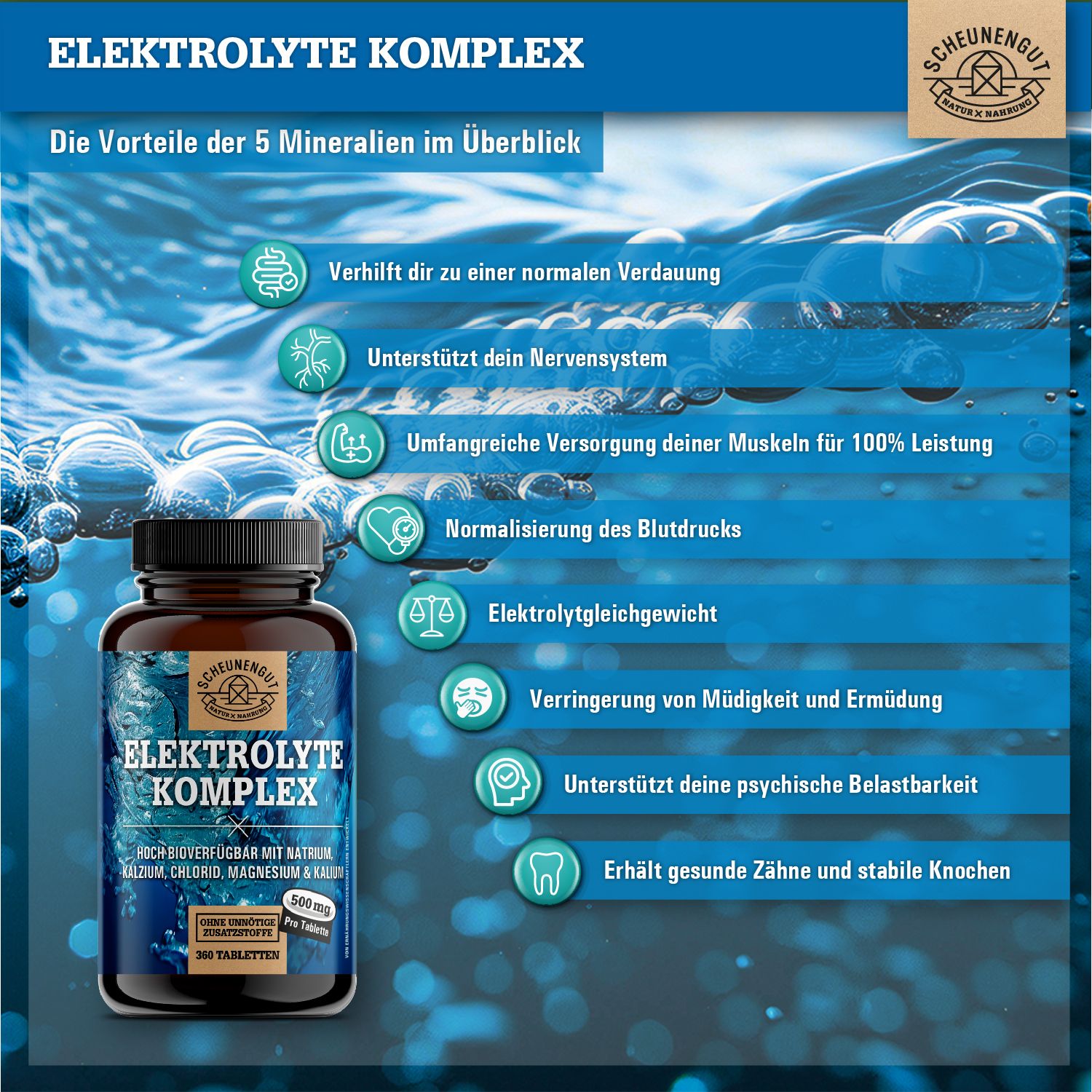 Scheunengut® Elektrolyte Komplex | Elektrolyte ohne Zucker | Magnesium, Natrium, Kalium, Calcium