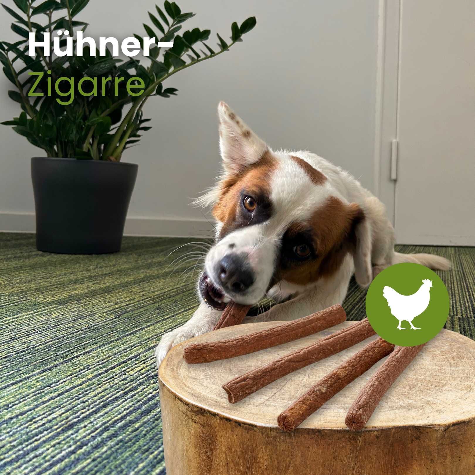 Hund kaut auf Hühner-Zigarre, daneben liegen vier weitere auf einem Holzstamm.
