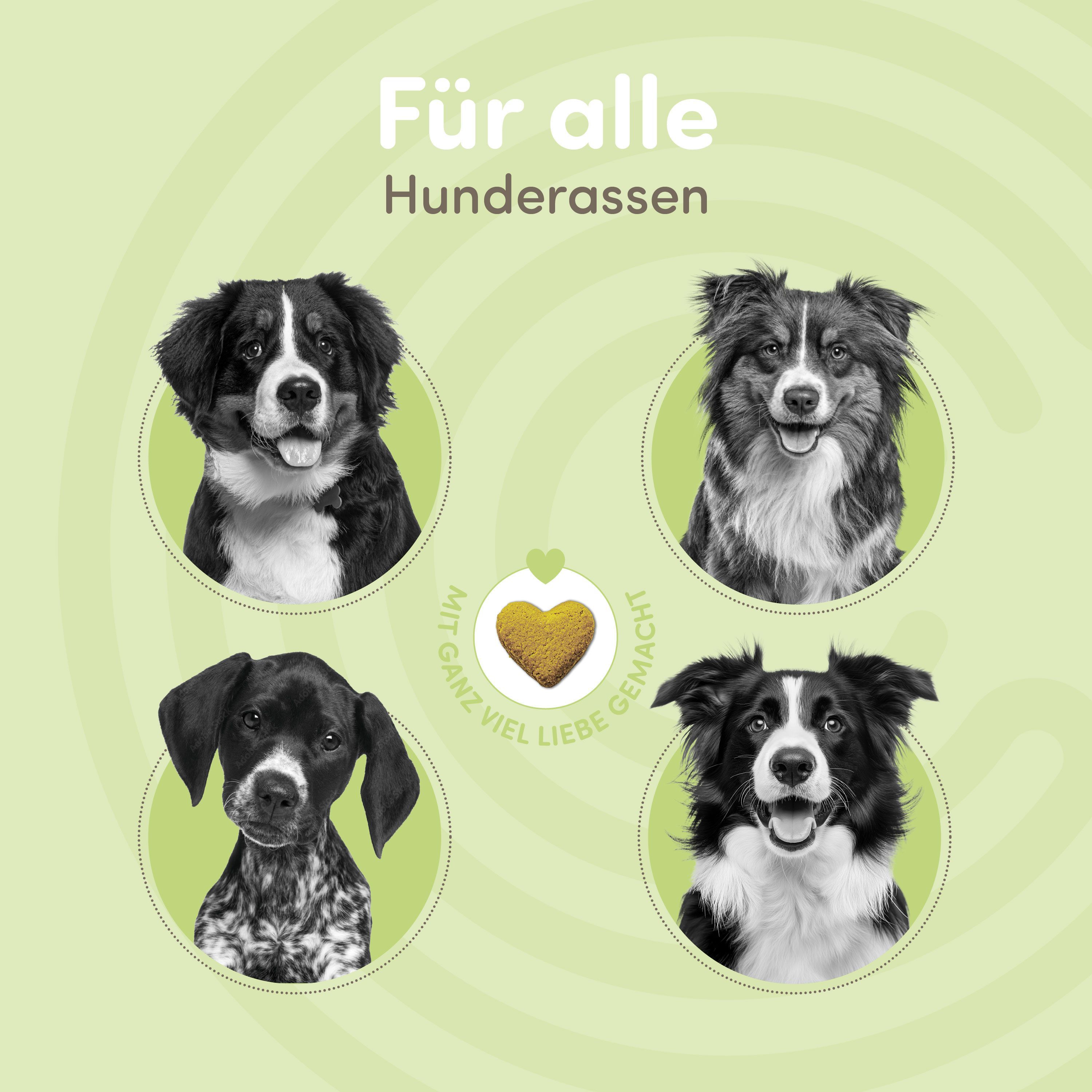 happycor® Pure Power Nährstoff-Booster, optimiert das tägliche Futter als natürlicher Funktionssnack