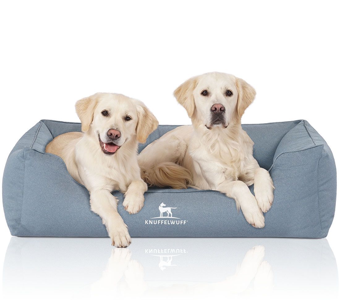 Hundebett Leon, blau, mit zwei Golden Retrievern. Knuffelwuff Logo.