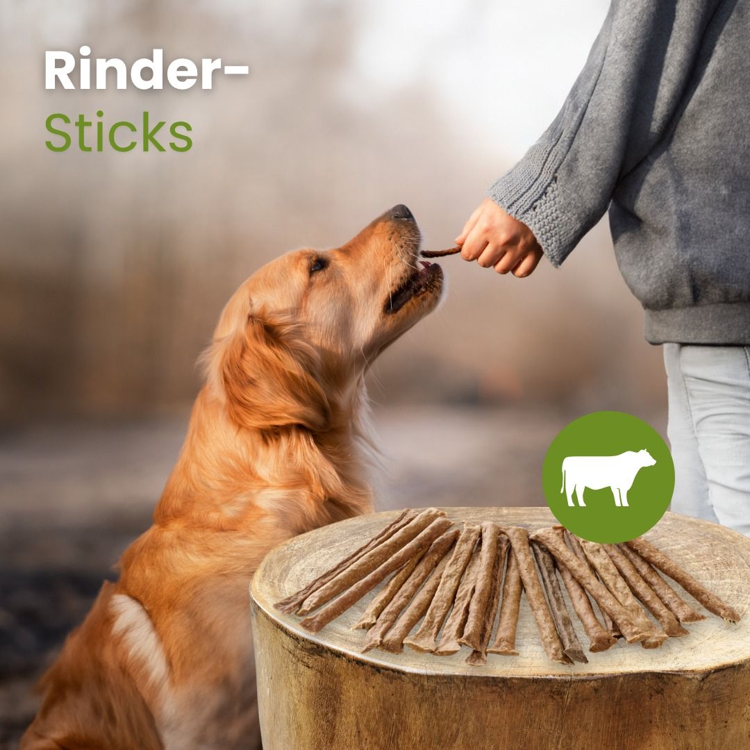 Vier flache, getrocknete Rinderkauchips liegen nebeneinander.
