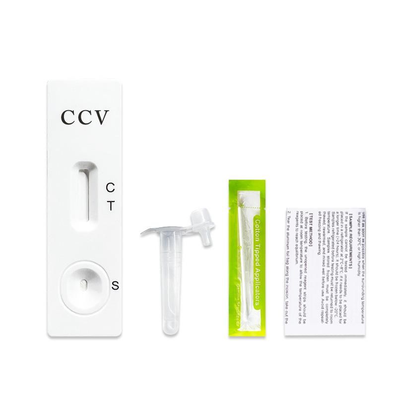 Teststreifen, Probenröhrchen, Tupfer und Beipackzettel. Teststreifen mit CCV, C, T, S. Tupfer in grüner Verpackung.