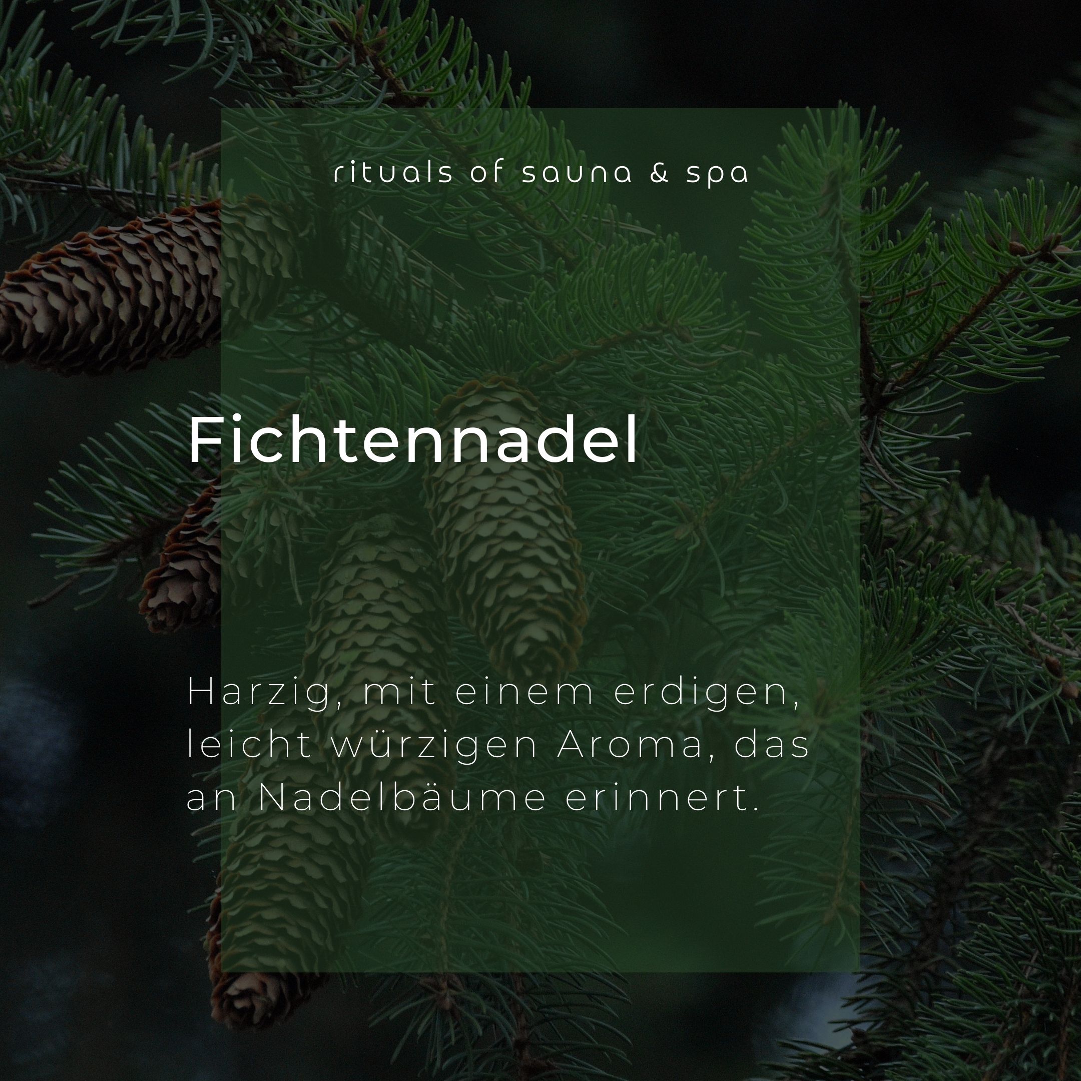 Wellow Sauna-Aufguss Fichtennadel