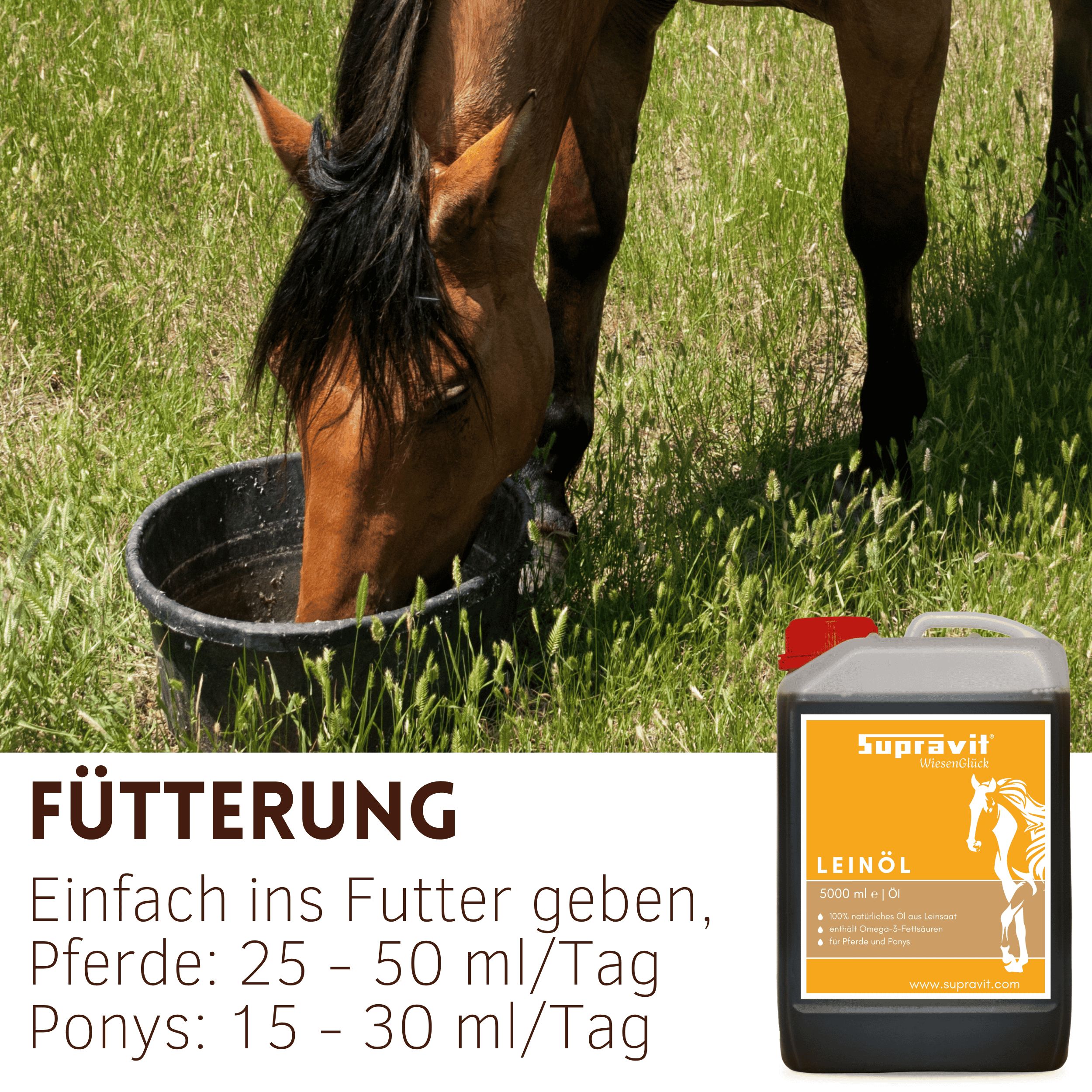 Supravit Leinöl für Pferde