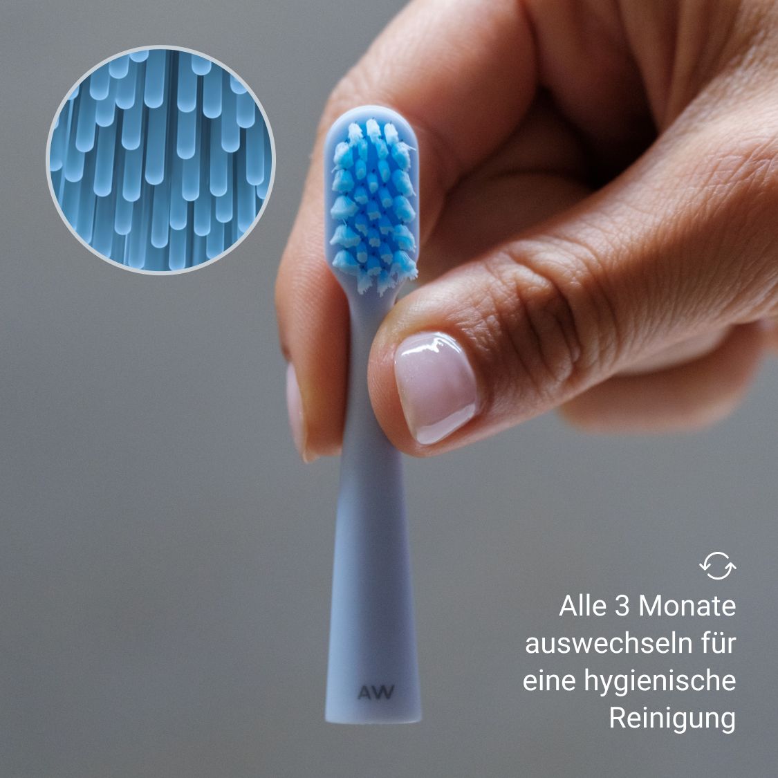 Nahaufnahme eines blauen Bürstenkopfes mit blauen Borsten. Vergrößerte Ansicht der Borsten.