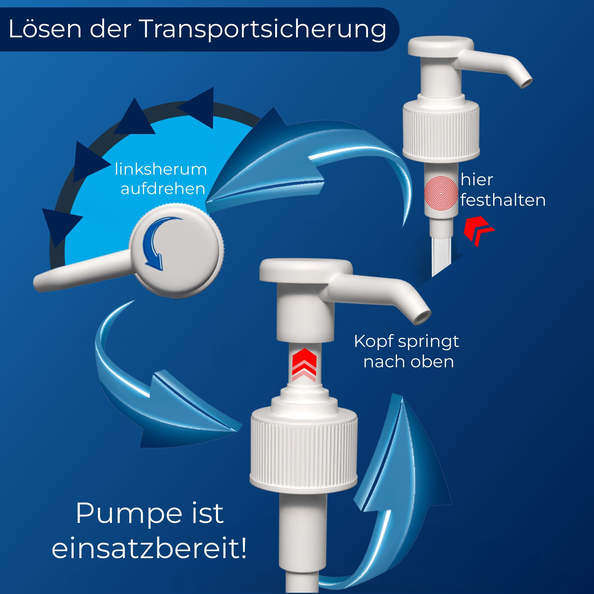 Anleitung zur Demontage der Dosierpumpe. Pfeile zeigen die Drehrichtung. Text: "Pumpe ist einsatzbereit!"