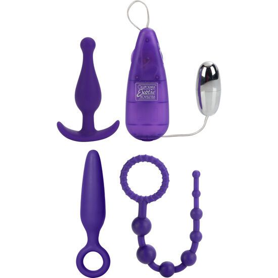 Vier violette Stimulationsartikel: ein Analkegel, ein Anker-Plug, eine Perlenkette und ein Vibrator mit Kugel.