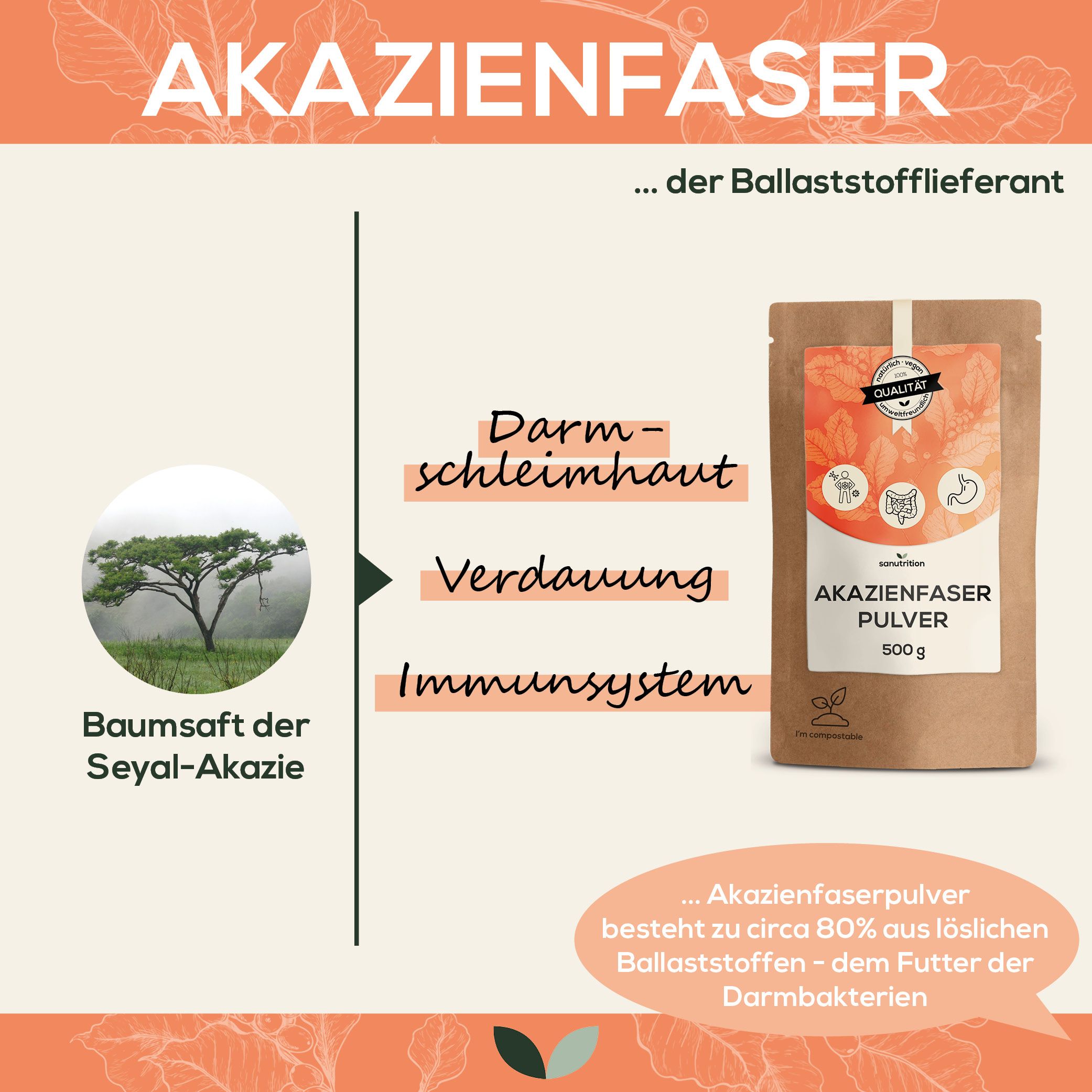 Braune Papierverpackung mit Produktnamen und Inhaltsangaben. Illustrationen von Baum, Darm und Verdauung.