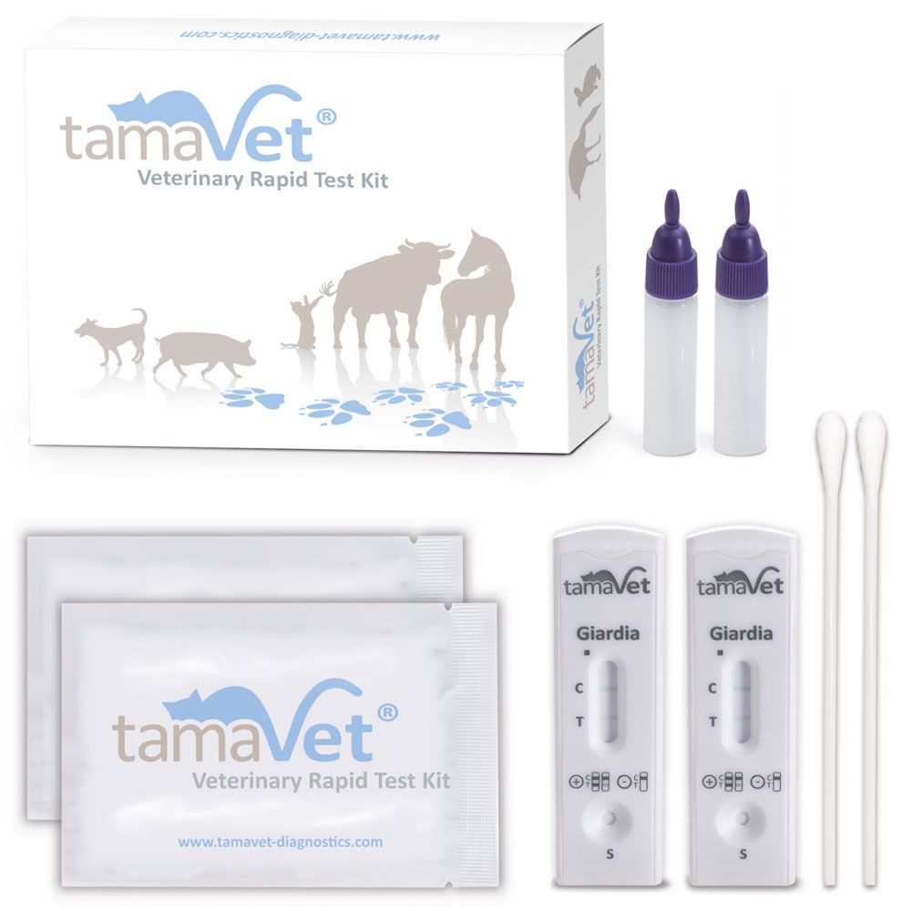 tamaVet Giardien Schnelltest-Kit. Enthält Testkassetten, Tupfer, Fläschchen und Verpackung mit Produktlogo und Tiermotiven.