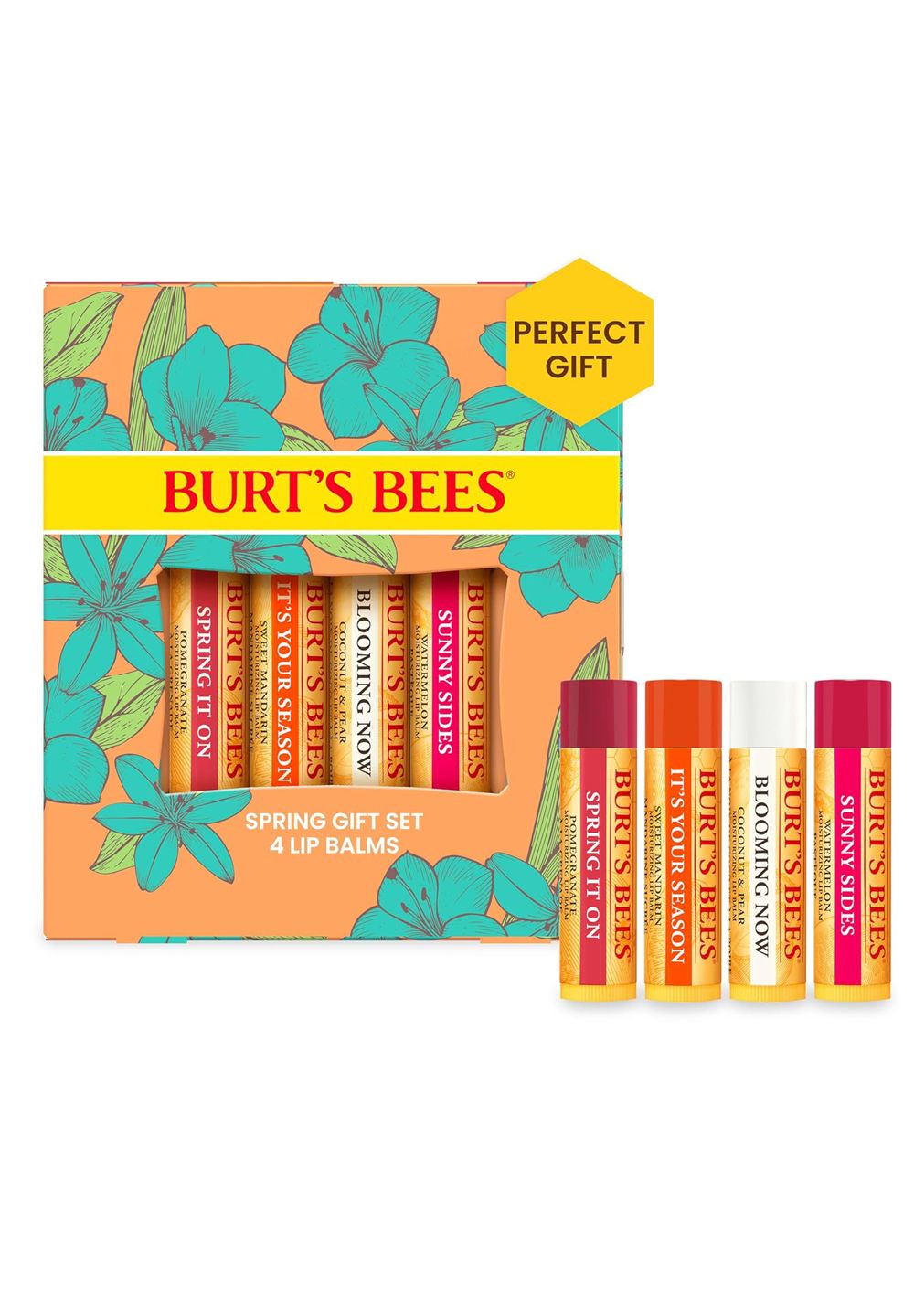 Burt's Bees Balm Bit of Burts 4er Pack 17 g Lippenschutz