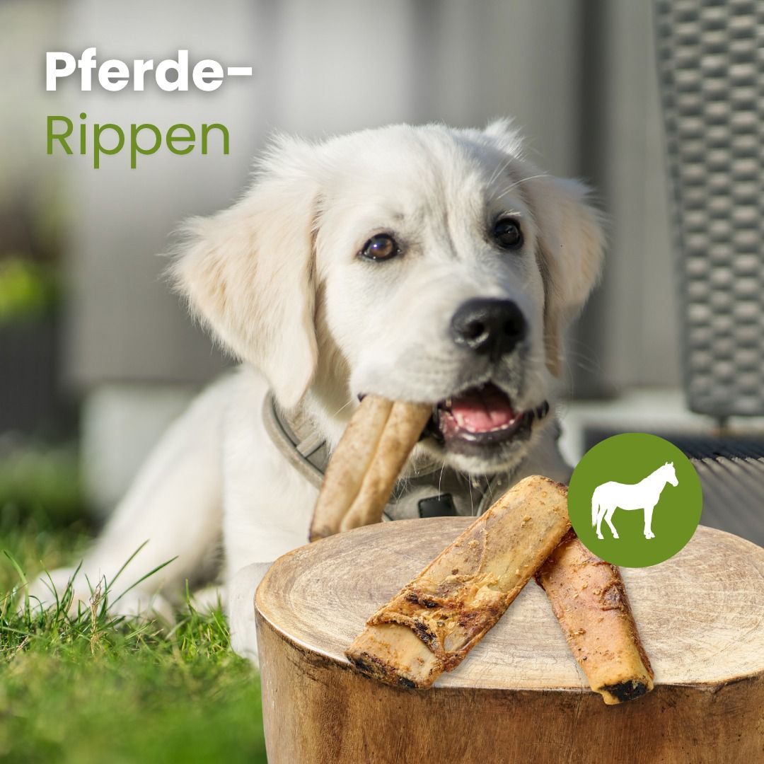 Ein Hund kaut auf Pferde-Rippen-Kauartikeln, weitere liegen auf einem Holzstamm.