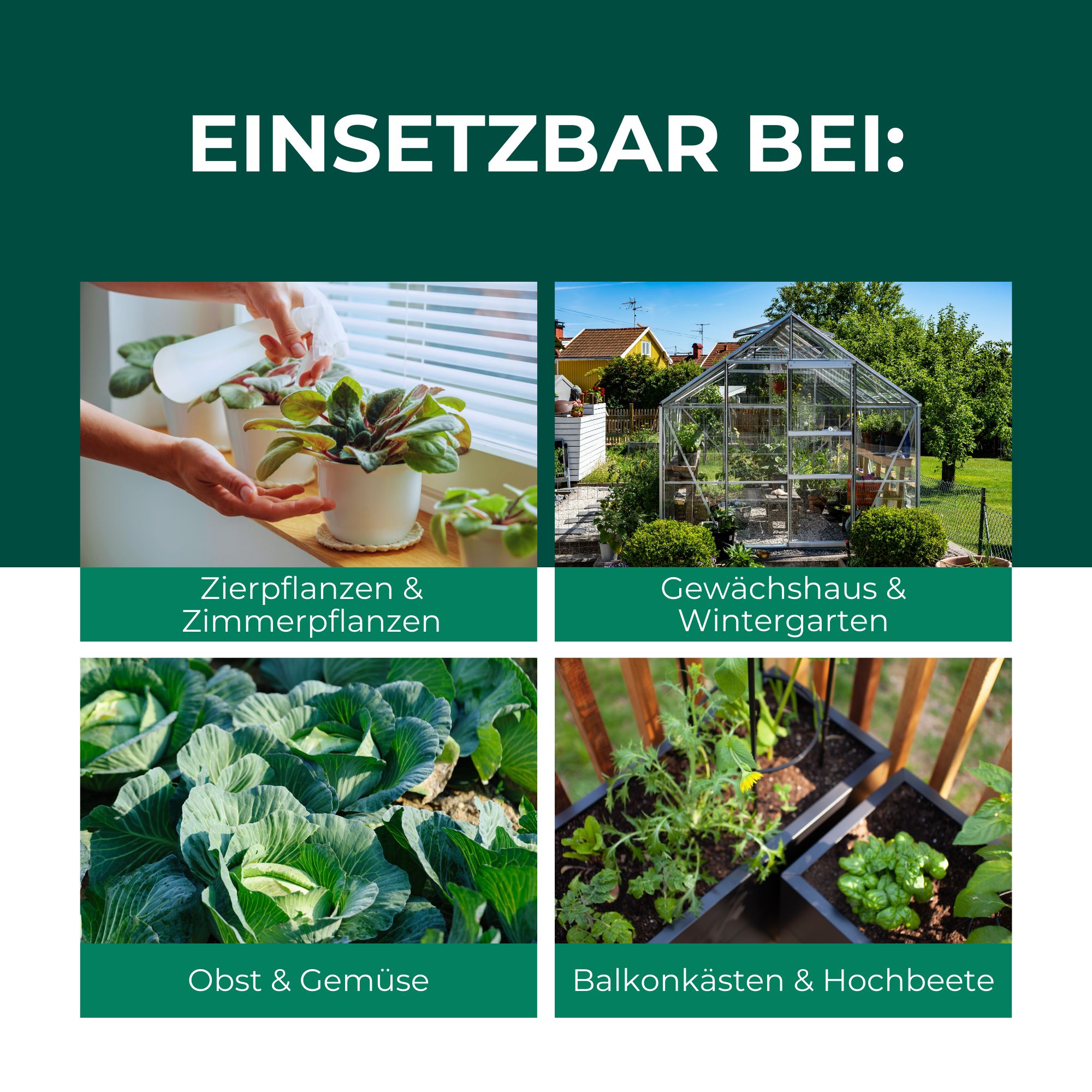 SILBERKRAFT Florfliegenlarven