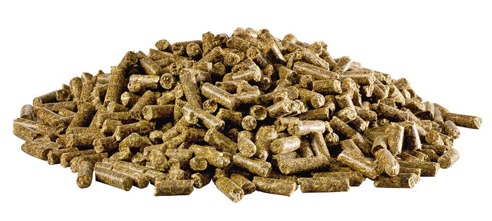 Panto® Formel E (5mm Pellet) 25 kg