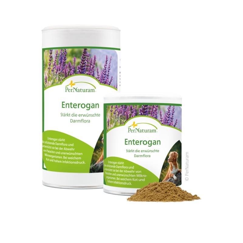 PerNaturam Enterogan 250 g Pulver