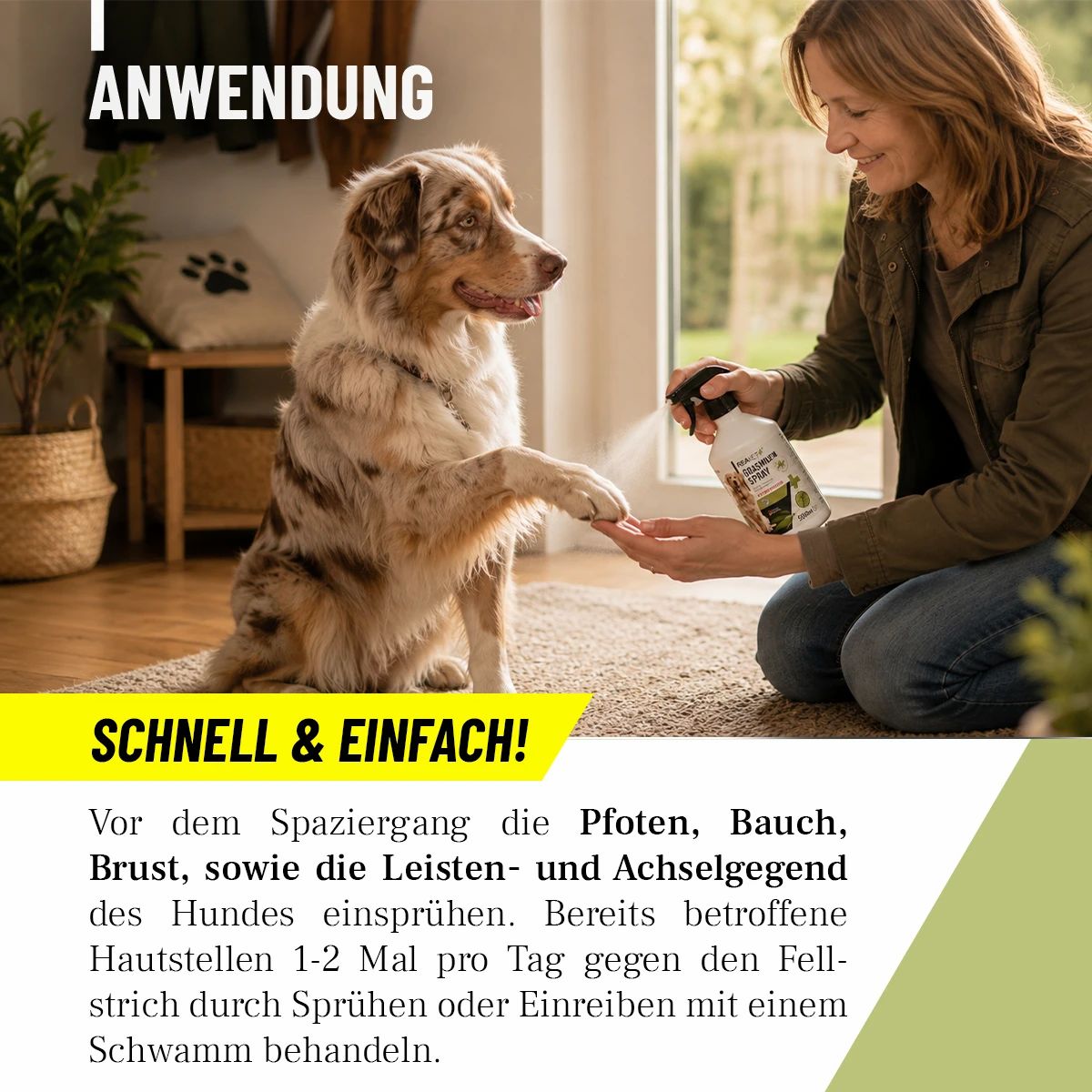 Frau sprüht ReaVET Grasmilben Spray auf Hundepfote in Wohnung. "Schnell & Einfach!".