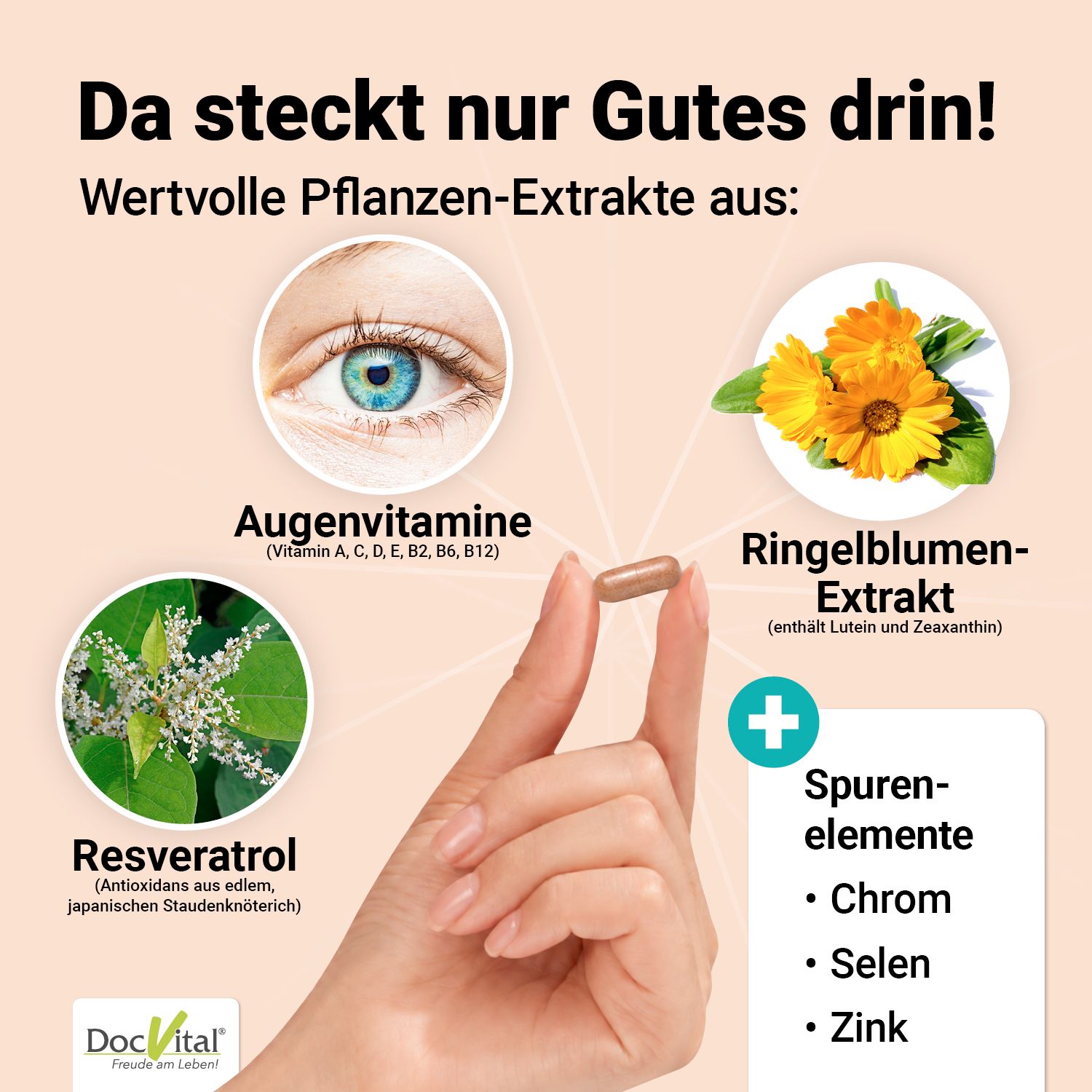 Hand mit Kapsel, umgeben von Inhaltsstoffen: Augenvitamine, Ringelblumenextrakt, Resveratrol, Spurenelemente. DocVital Logo.