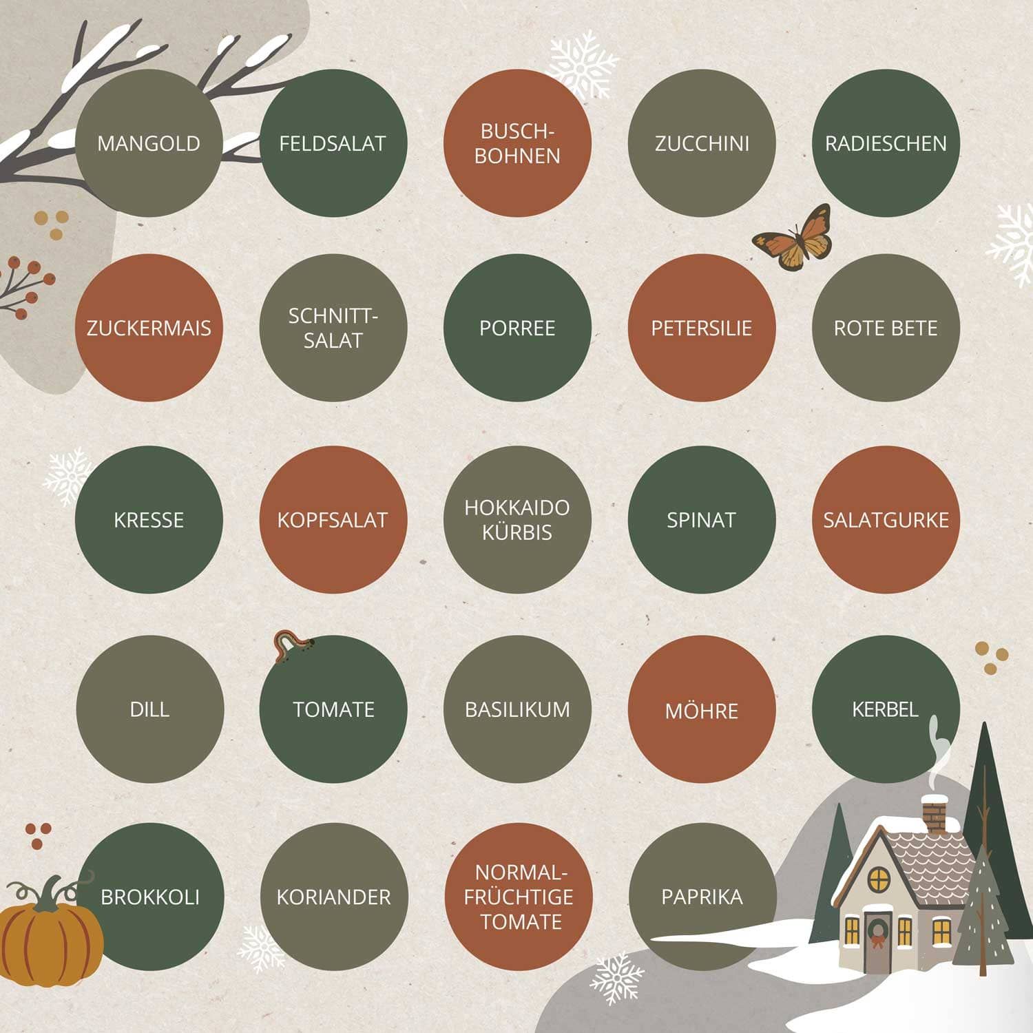 Übersicht der 24 Gemüsesorten im BIO Saatgut Adventskalender "Garten Freund".