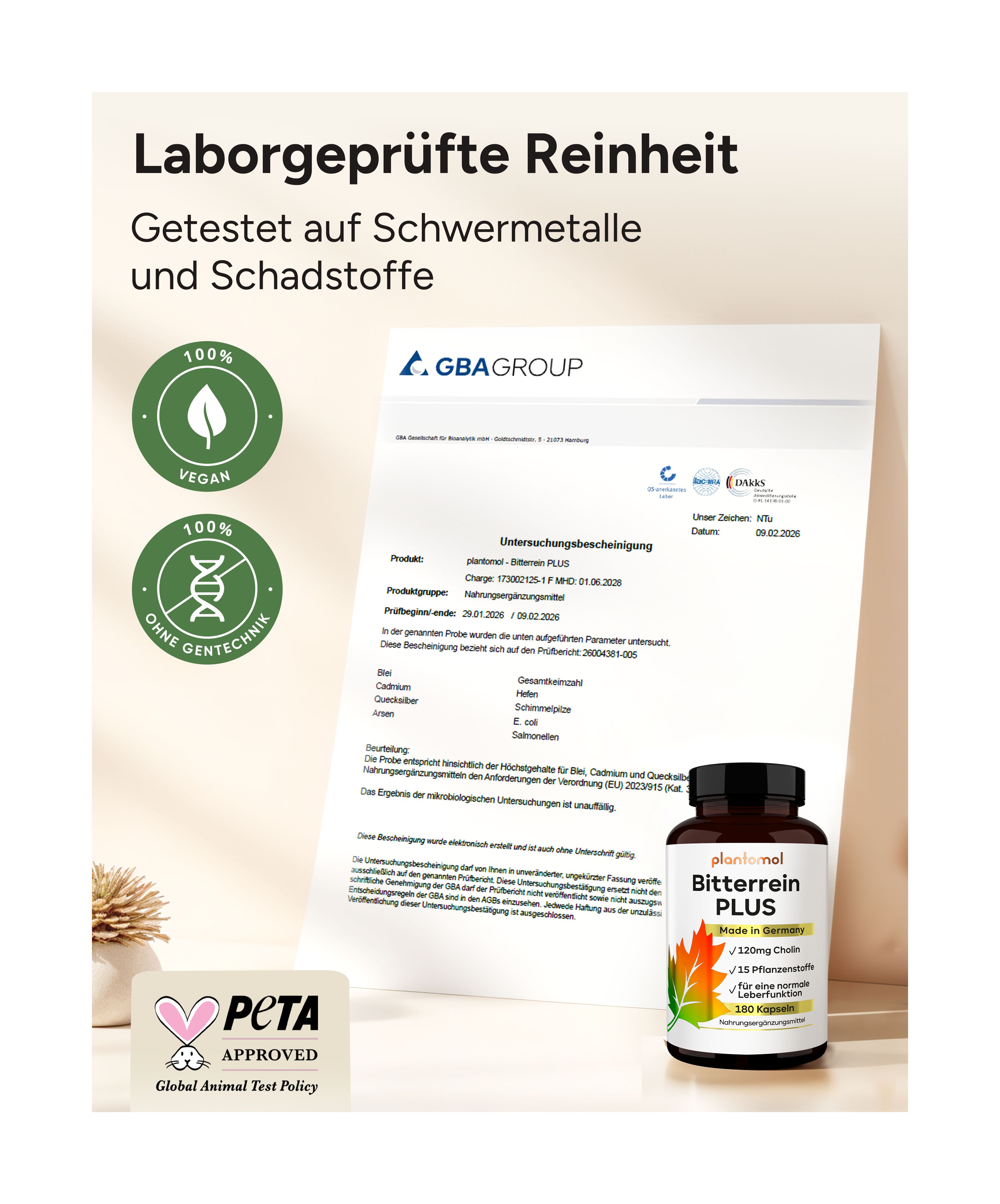 plantomol® Leber Kur mit Mariendistel Artischocke Löwenzahn Resveratrol & Cholin - Bitterrein PLUS