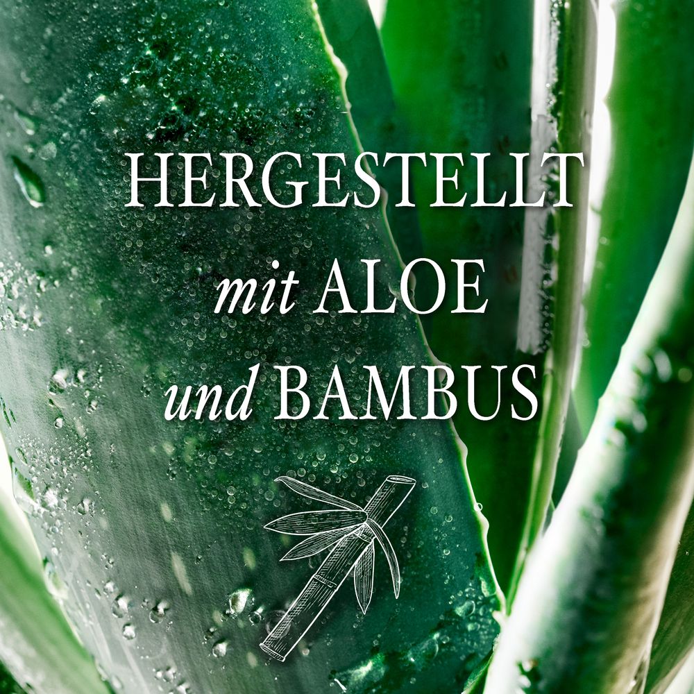 Nahaufnahme von Aloe-Blatt mit Text: Hergestellt mit Aloe und Bambus. Skizze von Bambus.