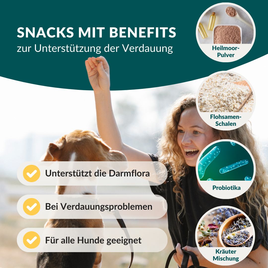 vetevo Belly Bites Hund