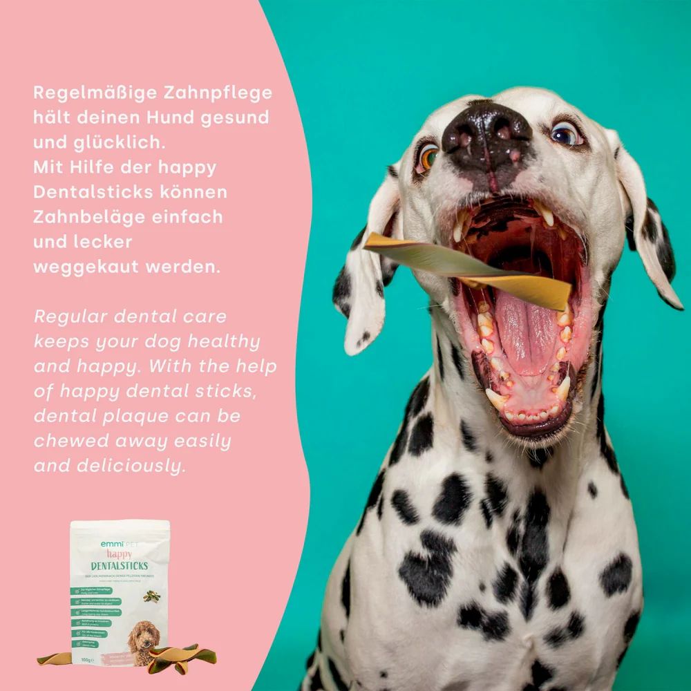 Hund mit offenem Maul, in dem ein Dentalstick liegt. Daneben eine Packung Dentalsticks.