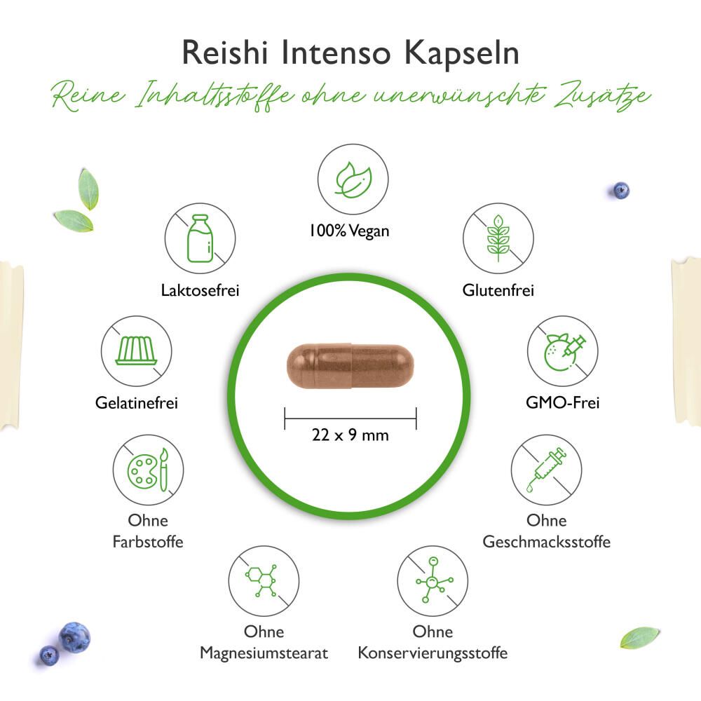 Braune Kapsel, 22x9 mm. Umgeben von Icons: vegan, laktosefrei, glutenfrei, ohne Farbstoffe, ohne Geschmacksstoffe, ohne Konservierungsstoffe.