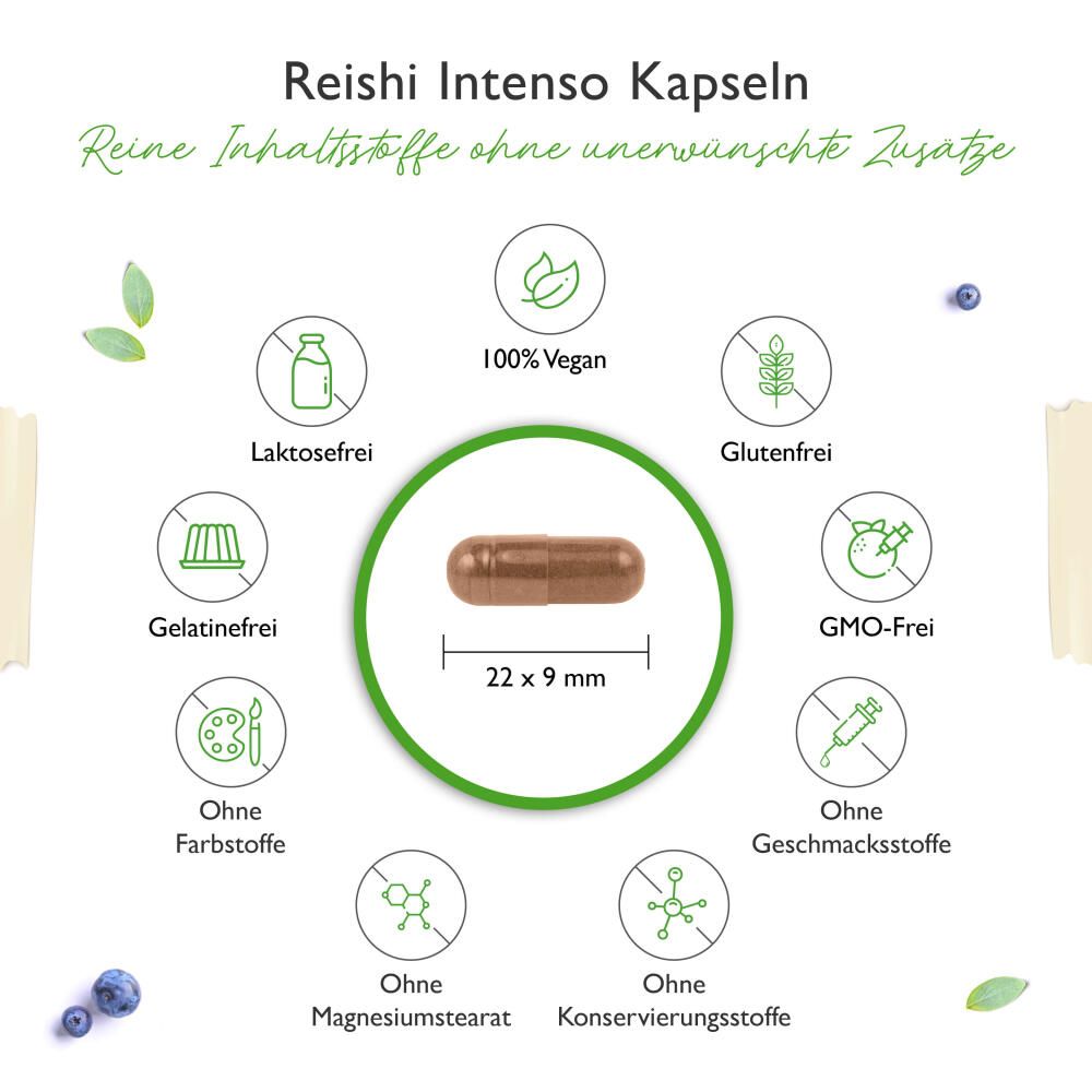 vit4ever Reishi Intenso Pilz 180 St Kapseln