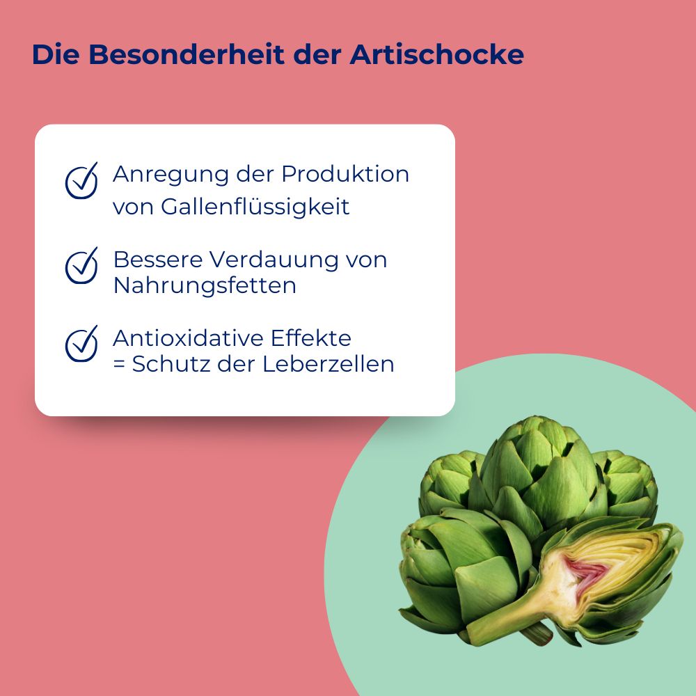 MedibiotiX Lipo A – Für Fettverdauung & Stoffwechsel - Mit Darmbakterien für die Darm-Leber-Achse