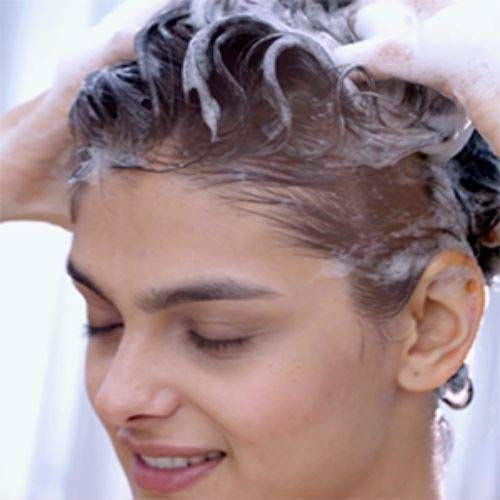 Garnier Shampoo, Feuchtigkeitsspendendes Aloe Vera, vegane Formel, für normales, trockenes Haar