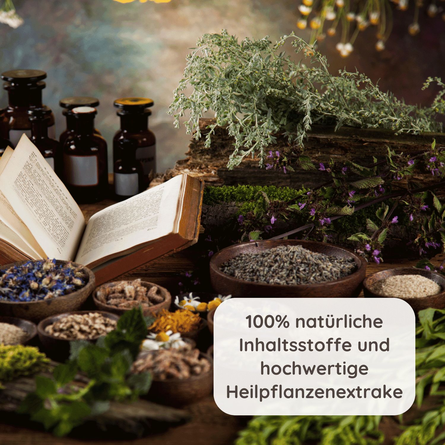 Schlosskräuter Blaues Wunder Handcreme für trockene, rissige Hände