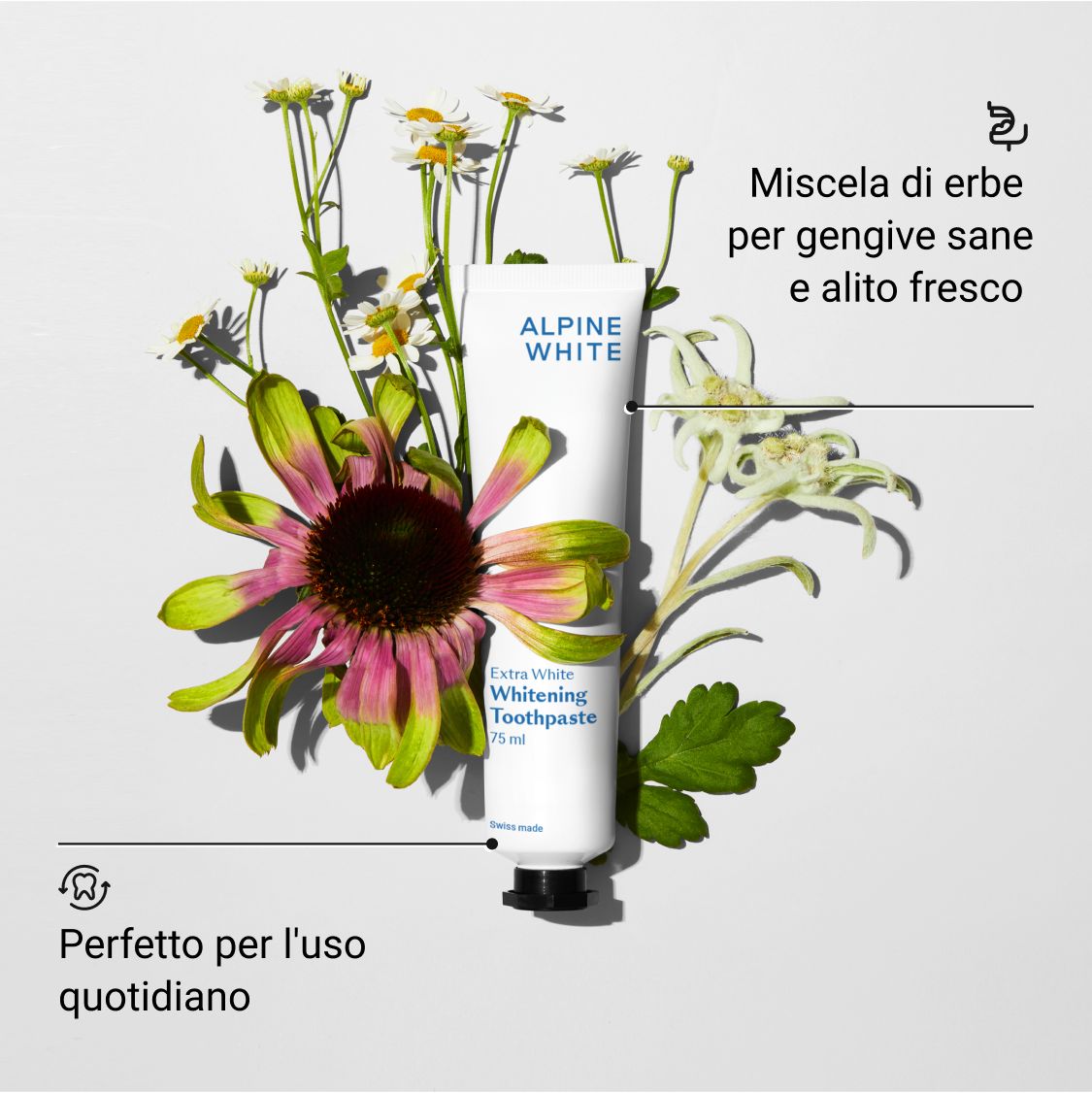 Tubo di dentifricio bianco con testo ed erbe. Testo: ALPINE WHITE Whitening Toothpaste Extra White. Per gengive sane e alito fresco.