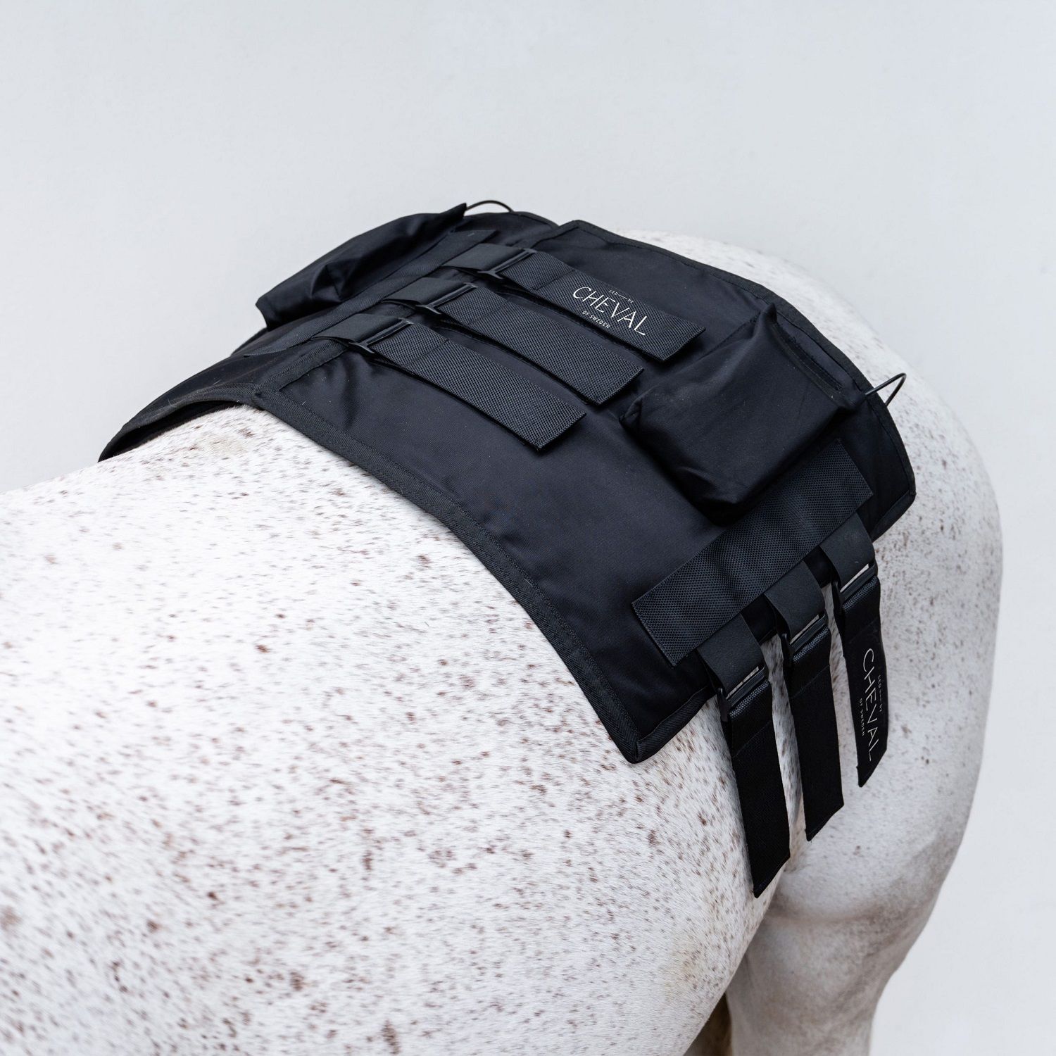 Schwarzes Gerät auf dem Rücken eines Pferdes. Mit Klettverschlüssen und dem Schriftzug "CHEVAL".
