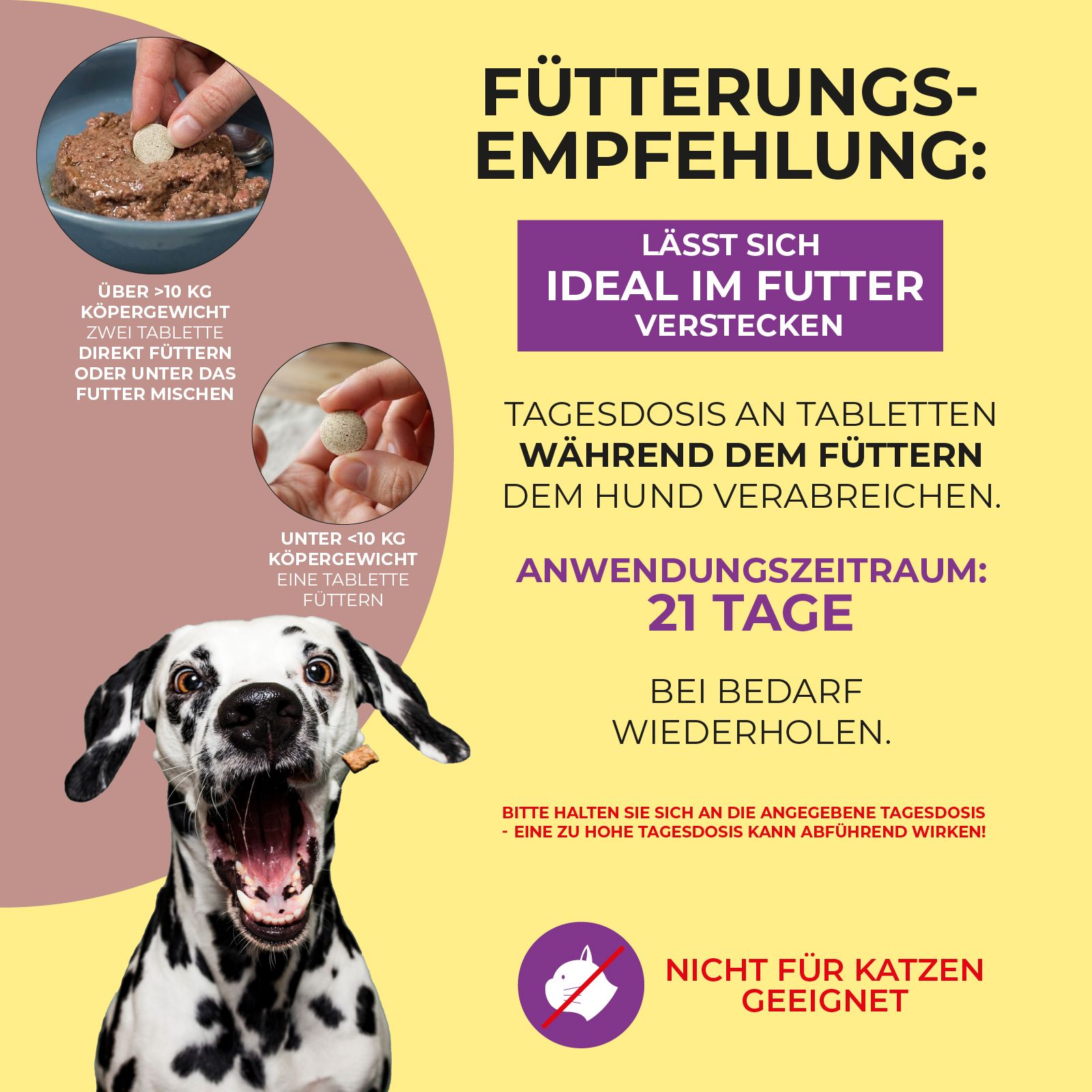 Gelber Hintergrund mit Text und Hund. Text: Fütterungsempfehlung, ideal im Futter verstecken. Nicht für Katzen geeignet!