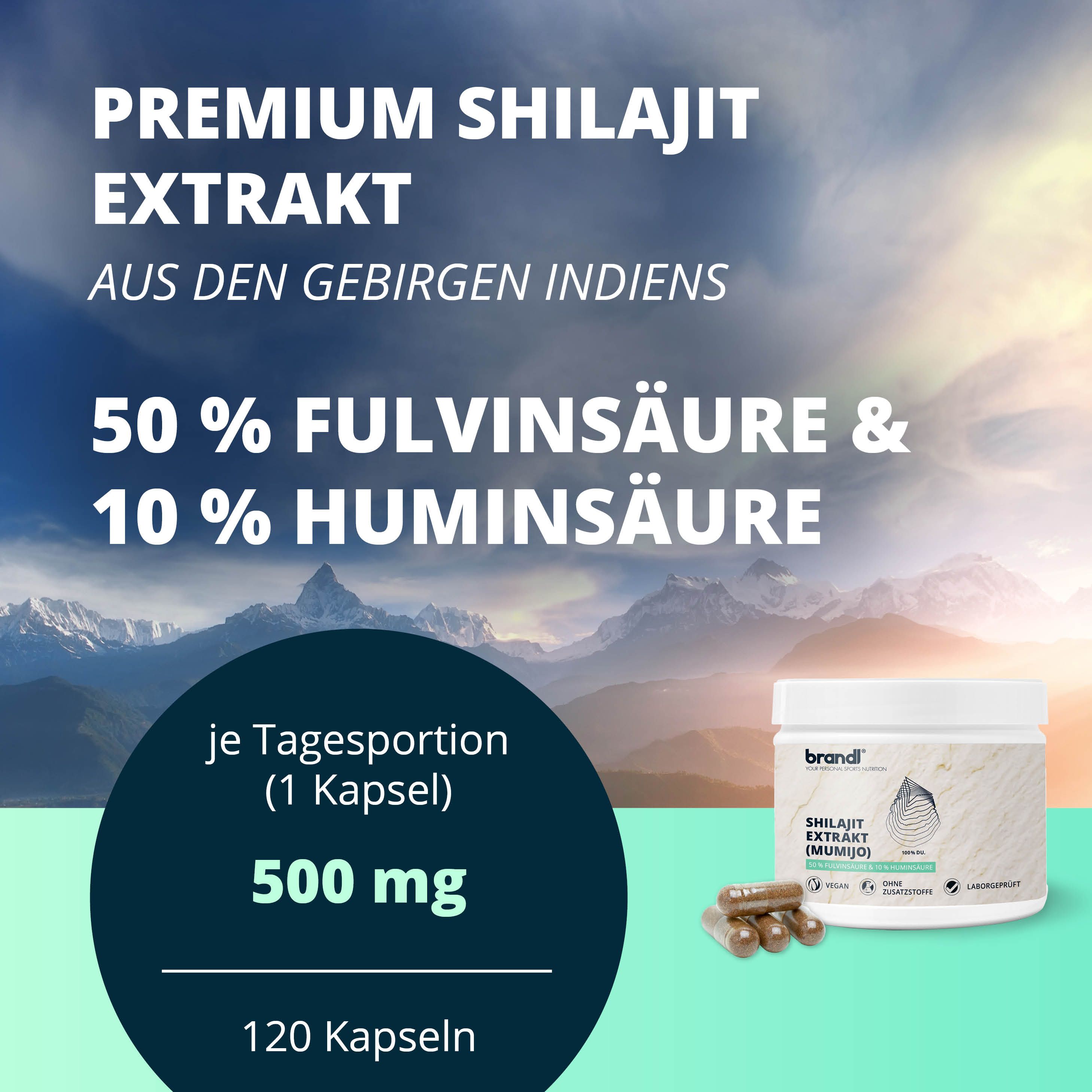 brandl® Shilajit Kapseln | 500mg Extrakt mit Fulvinsäure & Huminsäure Mumijo Original 240 St