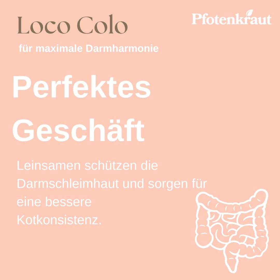 Pfotenkraut Darm Kräuter LOCO COLO