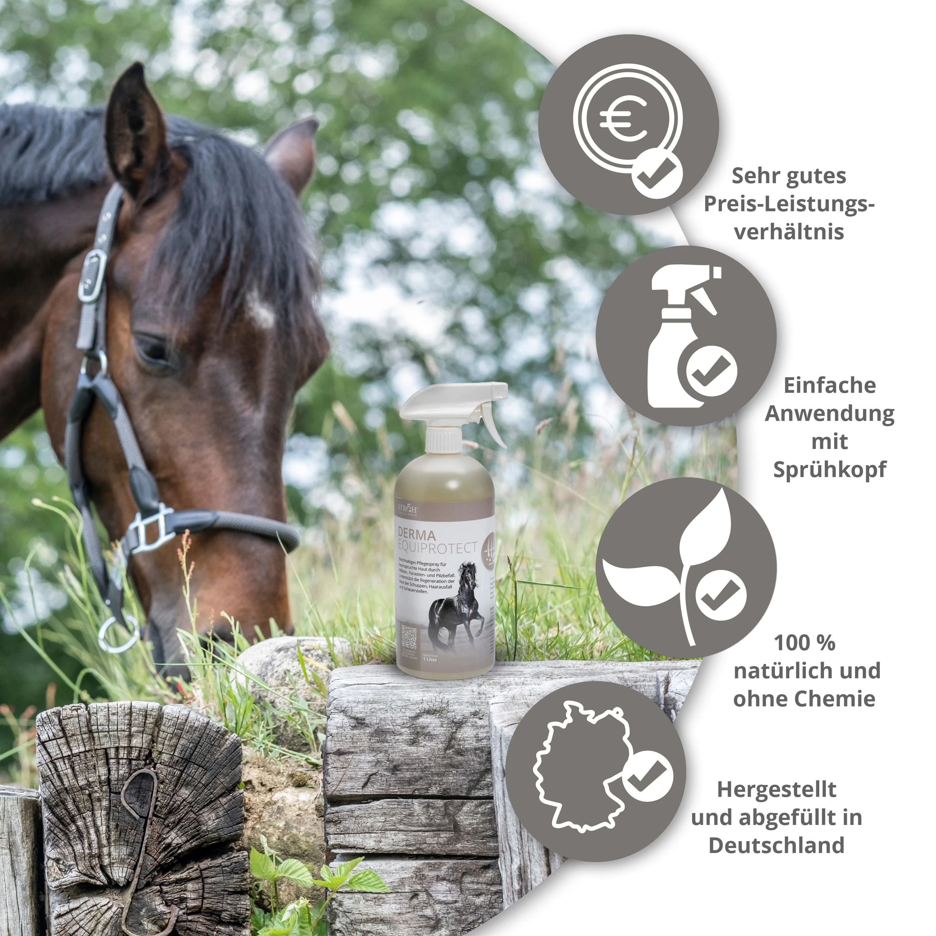 Flasche STRÖH Derma EquiProtect mit Sprühkopf neben Icons. Produktname, Pferd-Illustration. 1 Liter. Hergestellt in Deutschland.