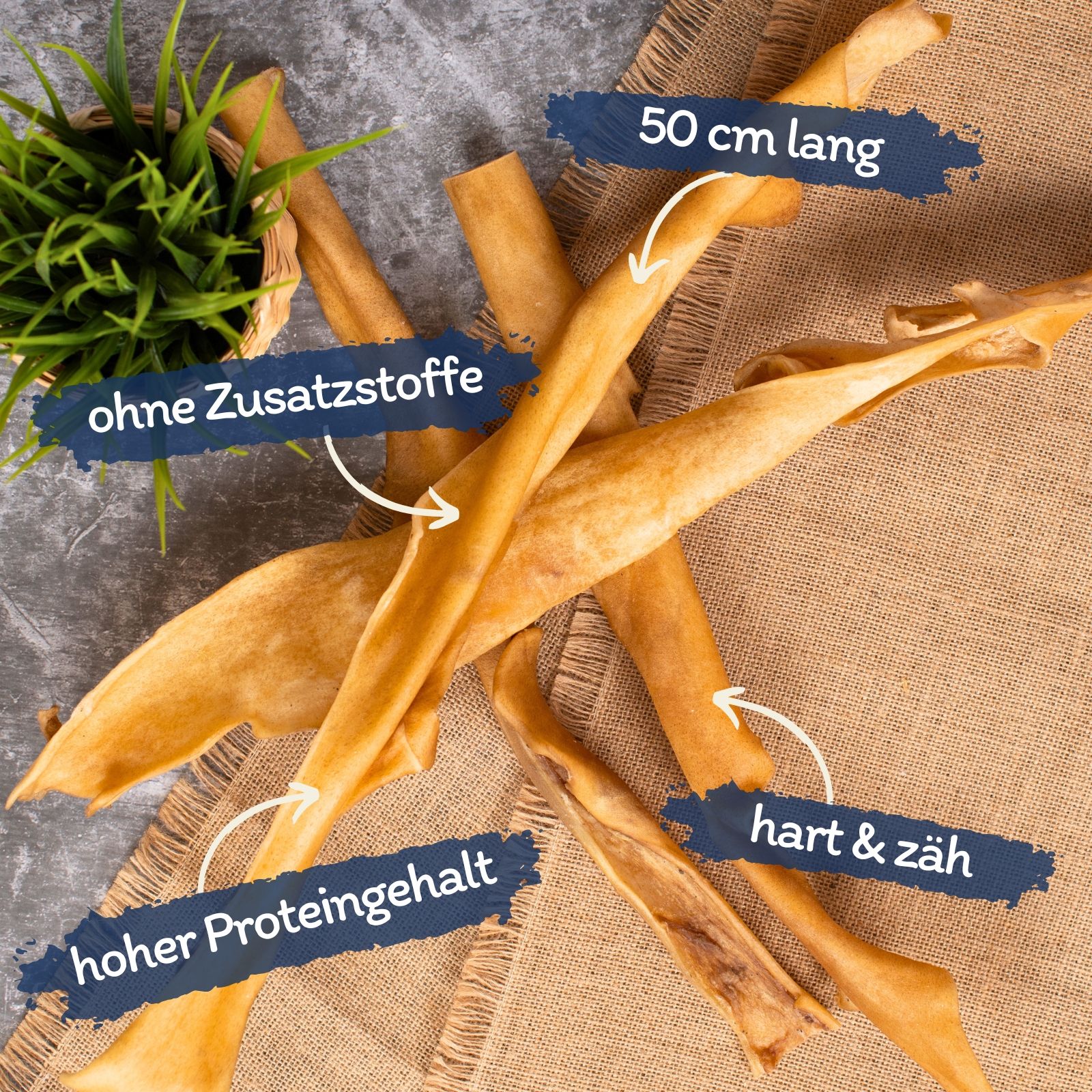 Lyra Pet Rinderkopfhautstangen, 50 cm lang, ohne Zusatzstoffe, hoher Proteingehalt, hart & zäh.