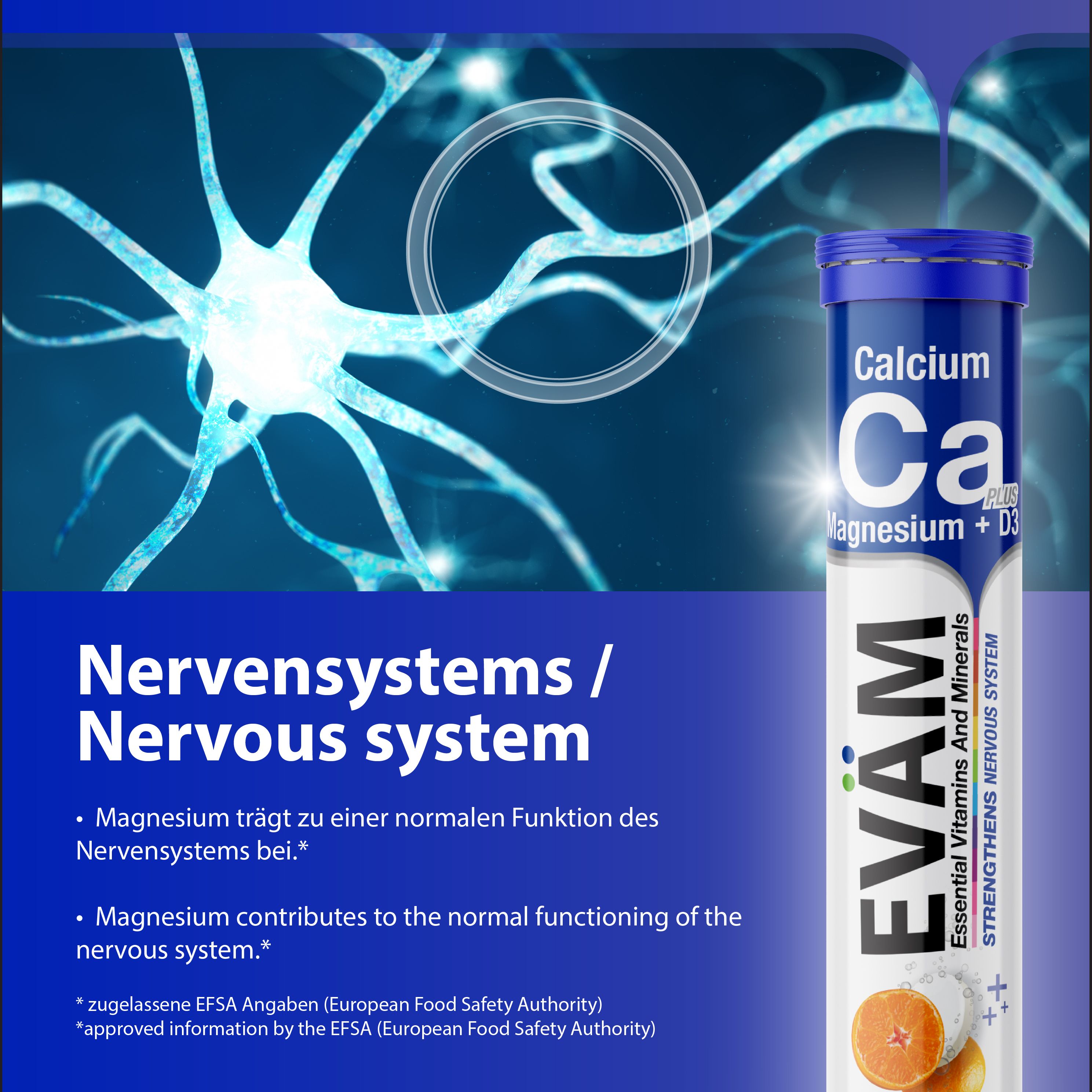EVÄM Calcium + Magnesium + D3 Tube. Produktname und Informationen zum Nervensystem. Hintergrund mit Nervenzellen-Illustration.
