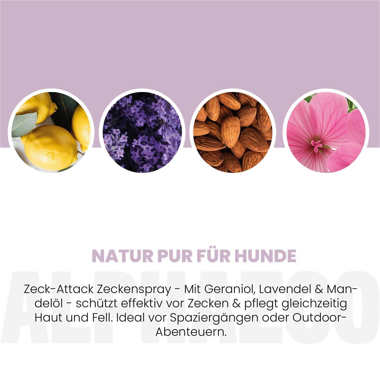 Kreisförmige Abbildungen von Zitrone, Lavendel, Mandeln und Blüte. Text: NATUR PUR FÜR HUNDE. ZECK-ATTACK, mit Geraniol, Lavendel & Mandelöl.