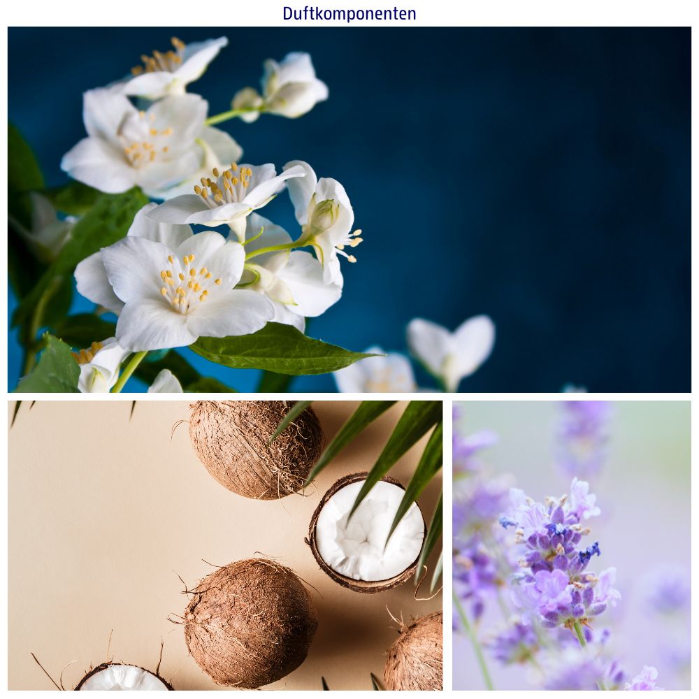 Trois images: fleurs de jasmin, noix de coco et fleurs de lavande. Texte: Composants parfumés.
