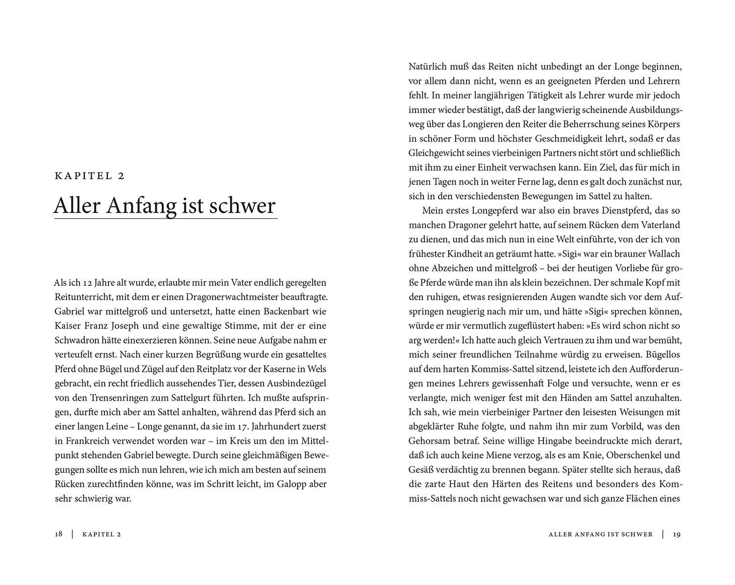 Meine Lehrmeister die Pferde