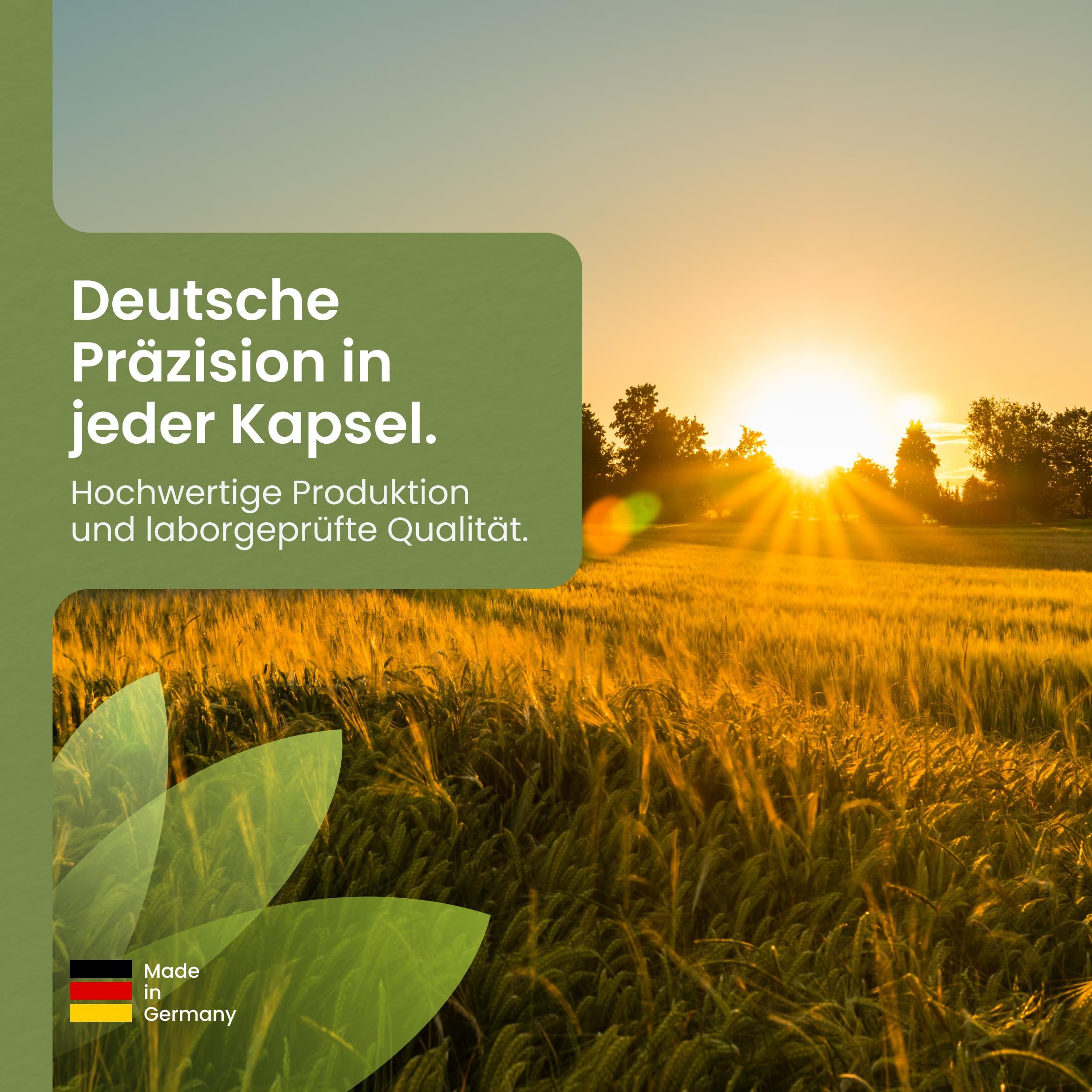 Sonnenaufgang über Feld. Deutsche Präzision in jeder Kapsel. Hochwertige Produktion und laborgeprüfte Qualität. Made in Germany.