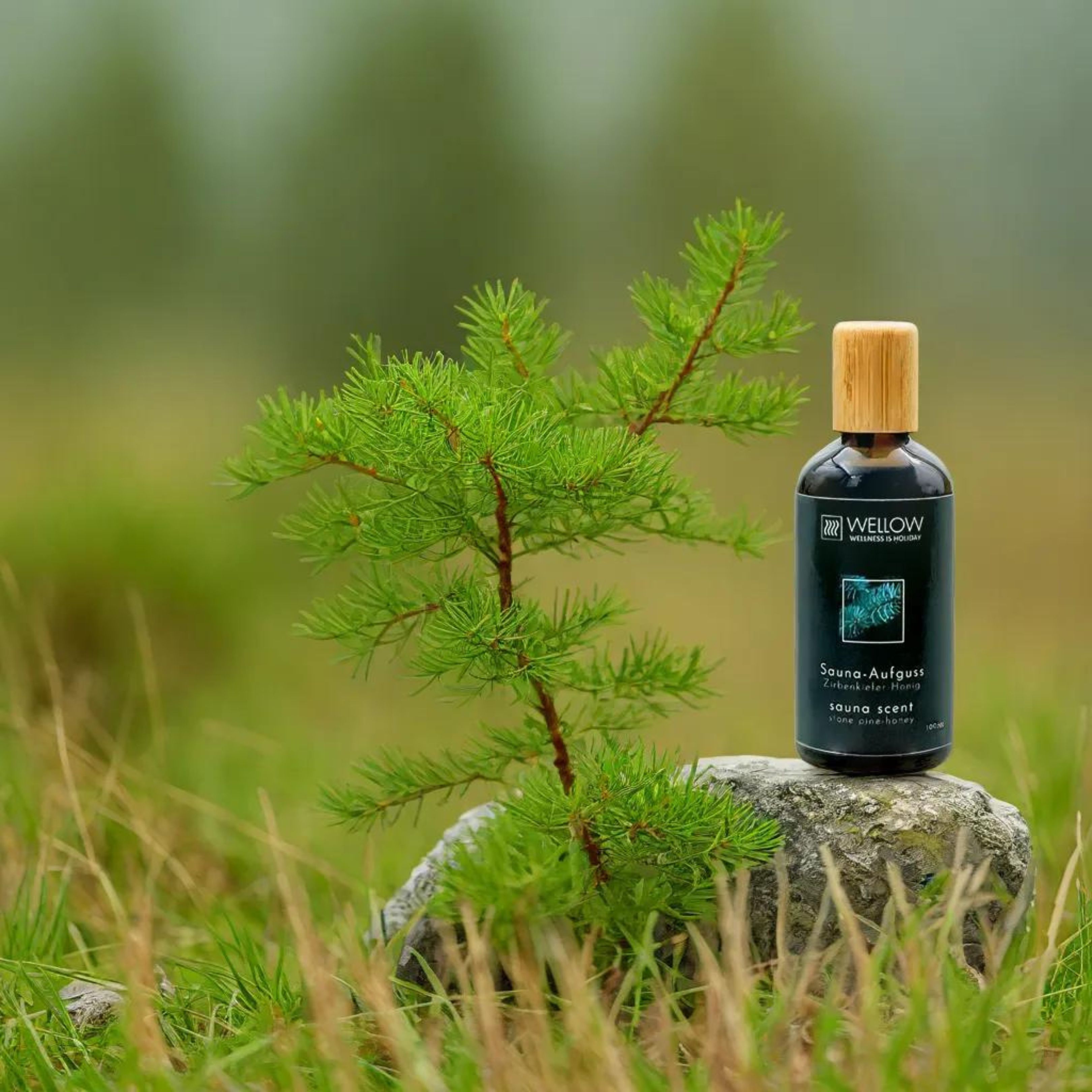 Wellow Sauna-Aufguss Zirbelkiefer-Honig
