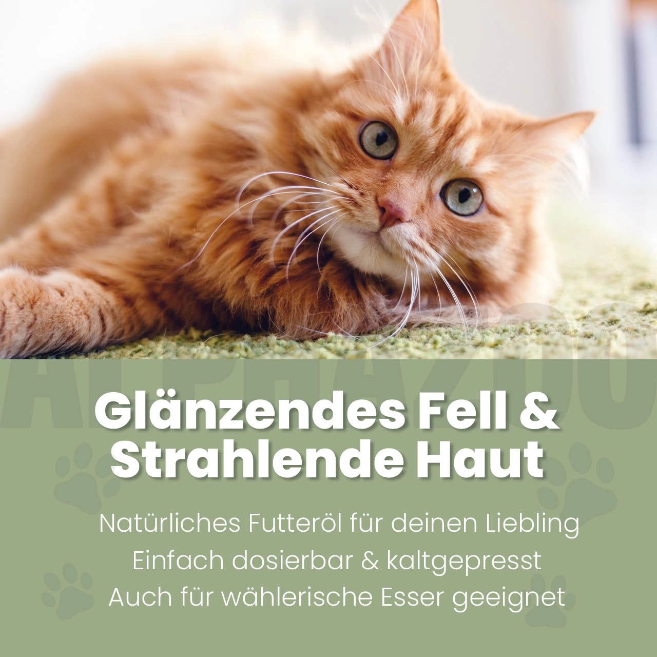 Rote Katze liegt auf grünem Teppich. Text: Glänzendes Fell & Strahlende Haut. Natürliches Futteröl.