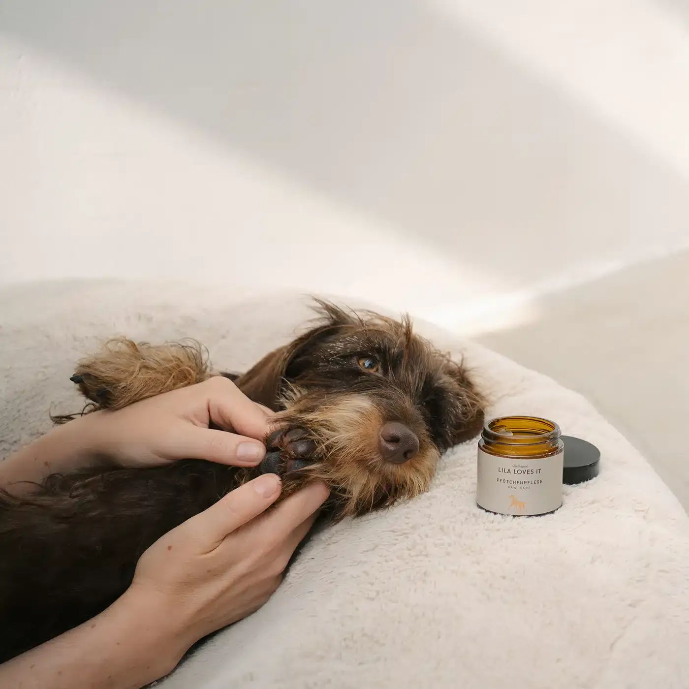 Hände berühren Hundepfote. Daneben ein braunes Glas mit schwarzem Deckel. Aufschrift: LILA LOVES IT.