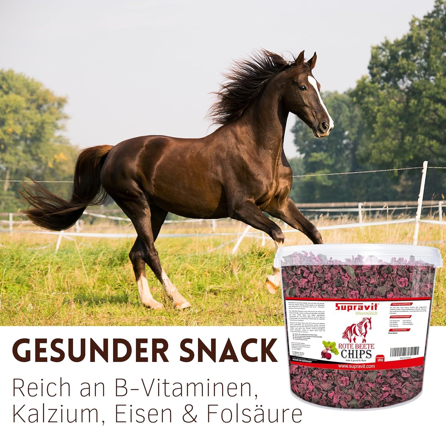 Pferd rennt auf einer Wiese. Eimer mit Rote Bete Chips, Text: Gesunder Snack, Reich an B-Vitaminen, Kalzium, Eisen & Folsäure.