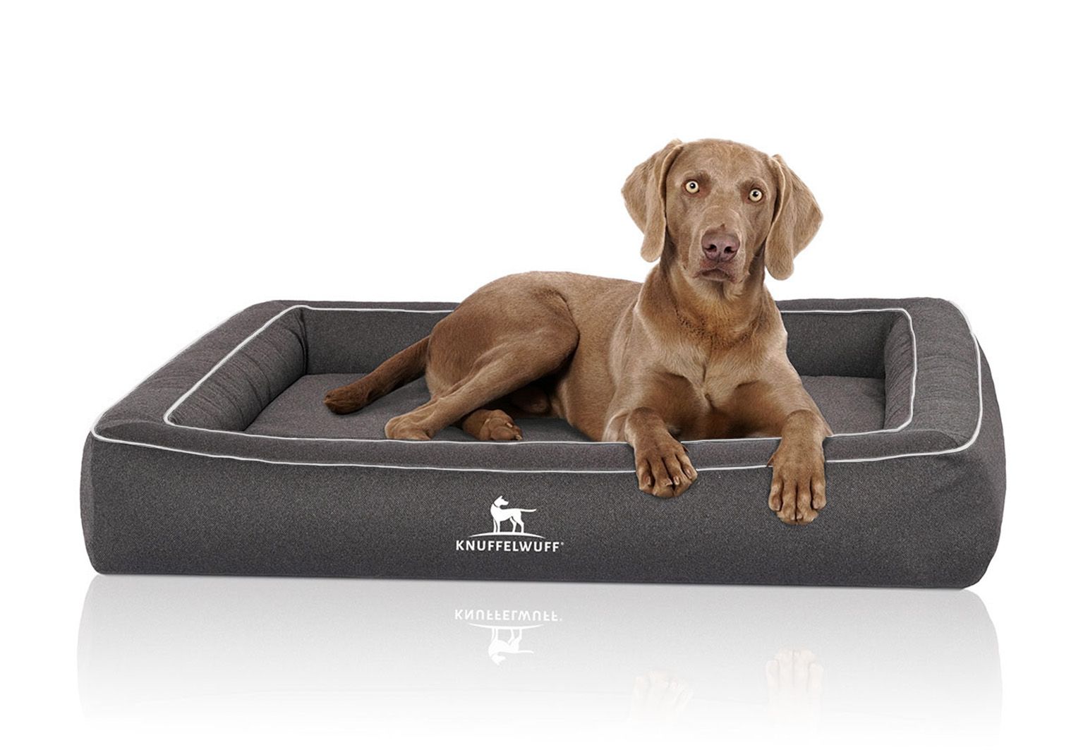 Graues Hundebett mit weißem Rand und einem Hund darauf. Das Logo "Knuffelwuff" ist sichtbar.