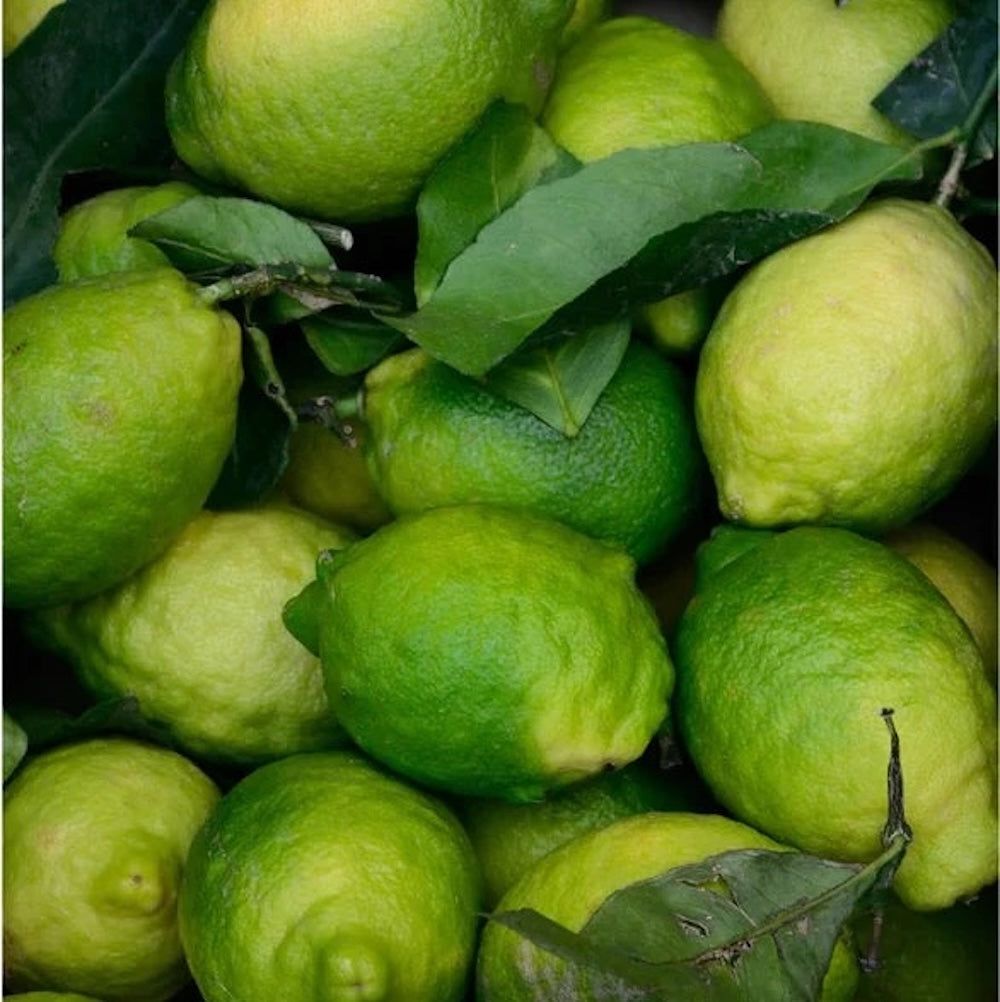 Zero Skin Gesichtsspray mit Mikrobiom-Prebiotika, feuchtigkeitsspendend für empfindliche Haut