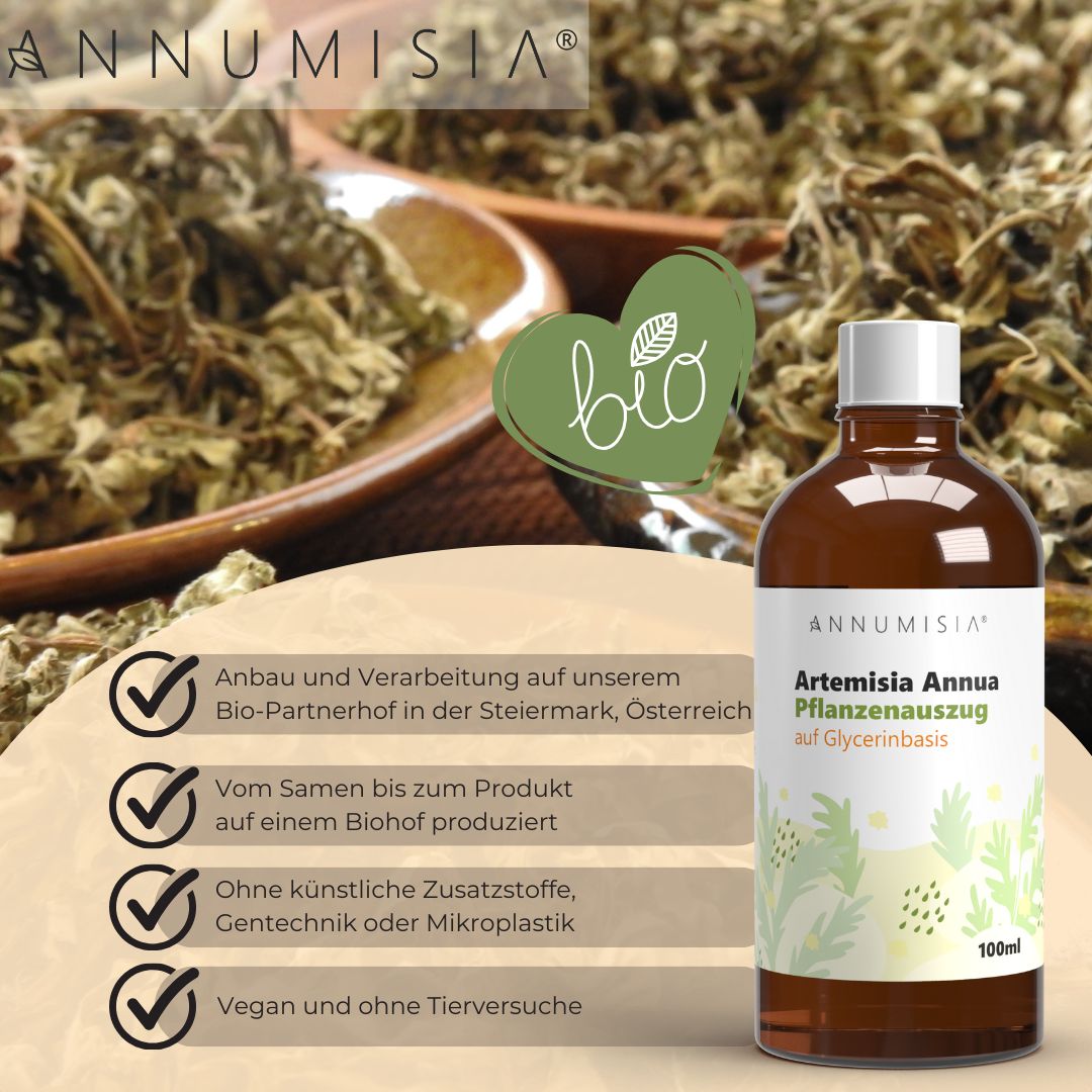 ANNUMISIA® Artemisia Annua Pflanzenauszug in einer braunen Glasflasche mit weißem Deckel. Das Etikett zeigt "Artemisia Annua Pflanzenauszug auf Glycerinbasis" und "100 ml".  Zusätzlich: Anbau und Verarbeitung auf Bio-Partnerhof, vom Samen bis zum Produkt, ohne künstliche Zusätze, vegan.