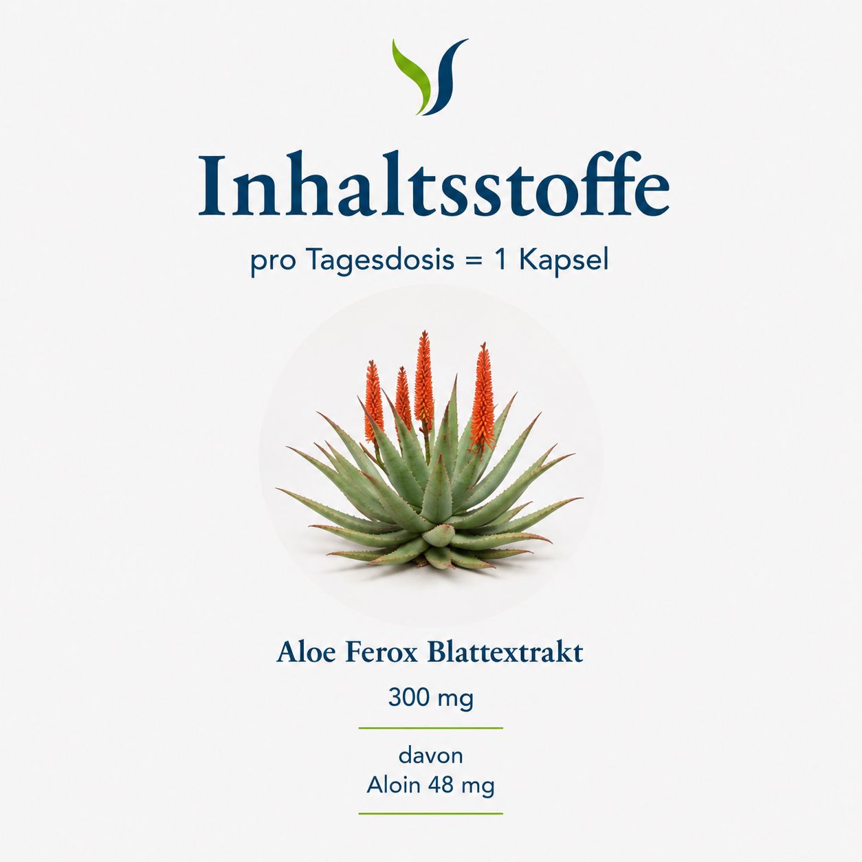 Aloe Ferox Blattextrakt, 300 mg, davon Aloin 48 mg, pro Tagesdosis 1 Kapsel.